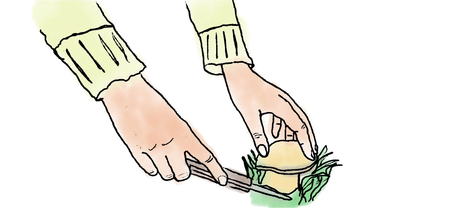 Image Credit: Quentin Lebeau