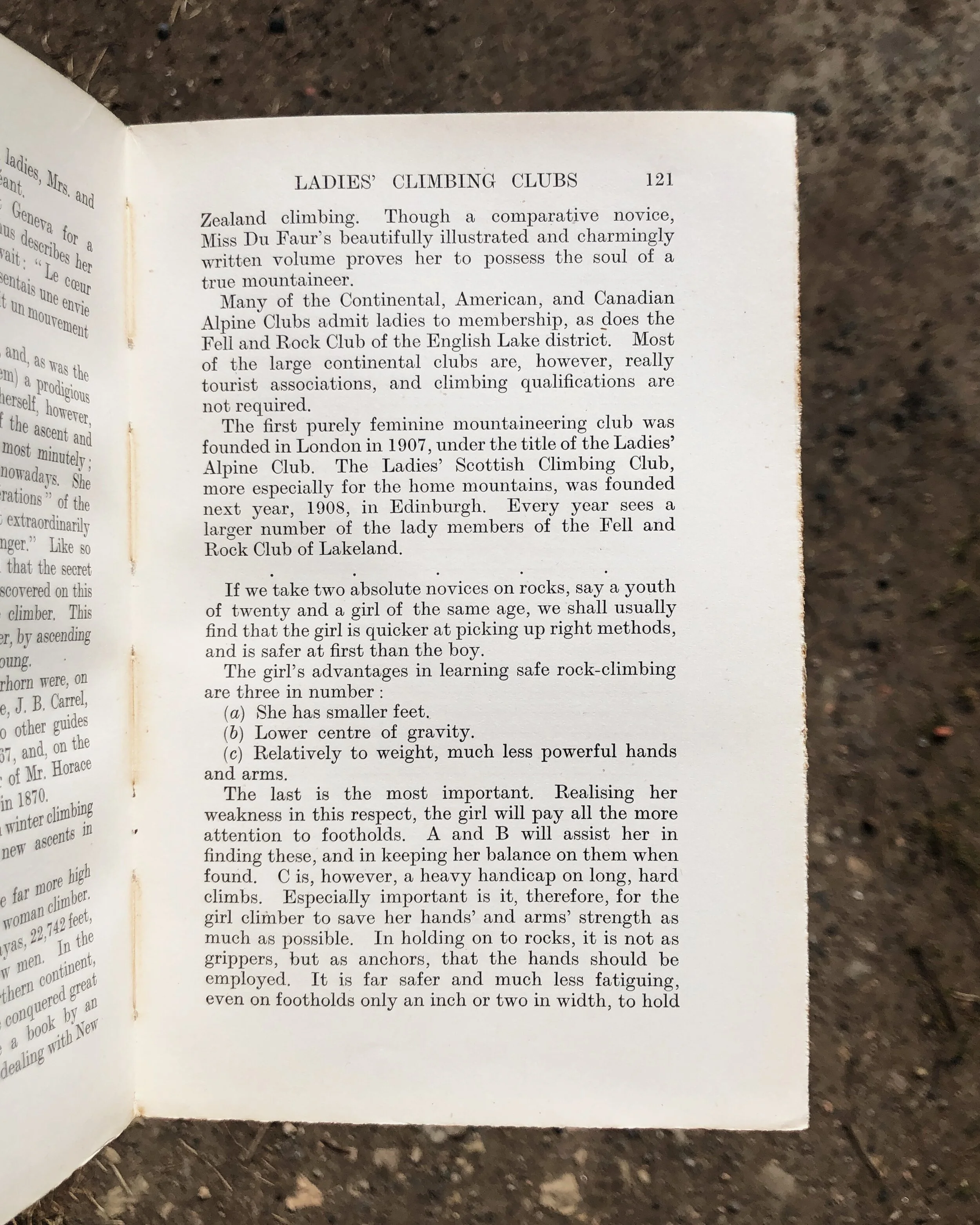 Mountaineering Art, Harold Raeburn — The Nature Library