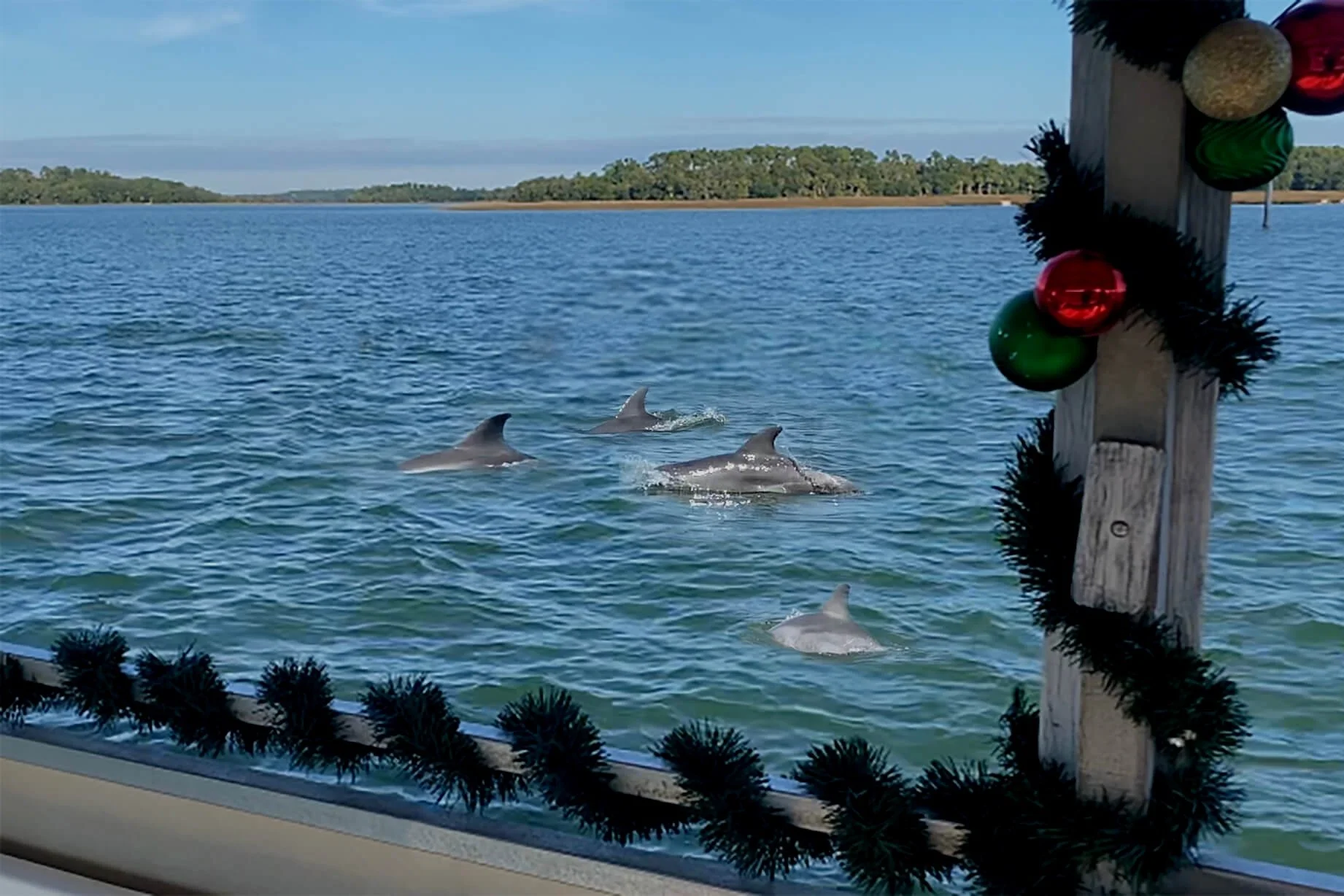 Mermaid of Hilton Head Hilton Head boat tours, Mermaid Photoshoots