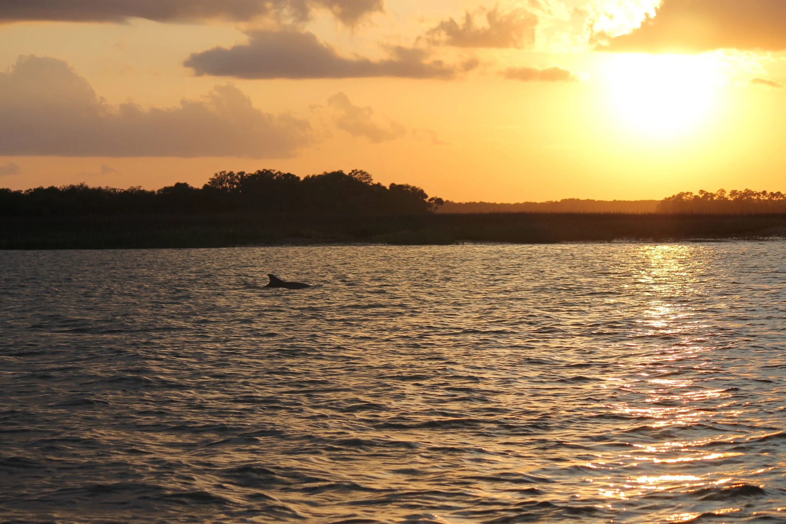 sunset cruise hilton head