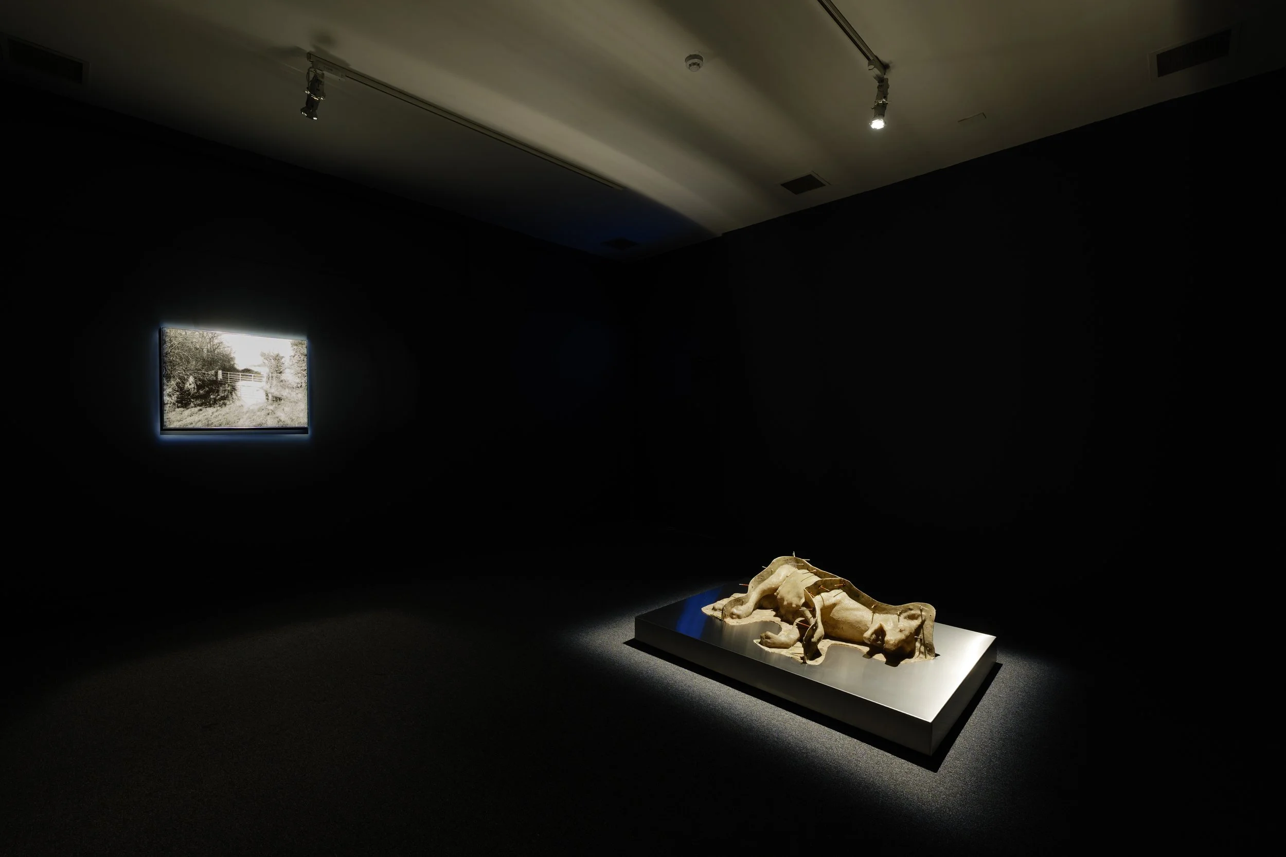 Patrick Hough_UnWorlding_GAC-15.jpg