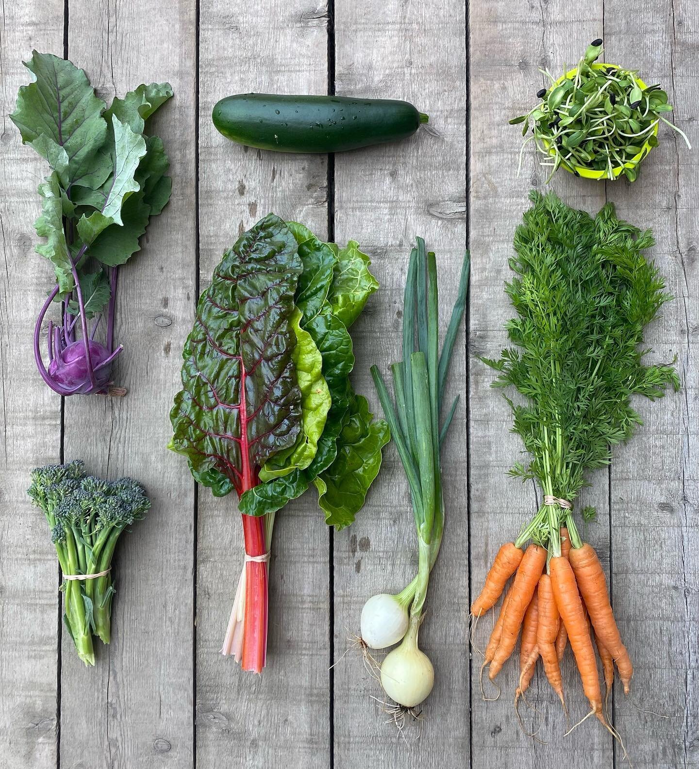 Week 9 of 15! Kohlrabi, broccoli, zucchini, Swiss chard, onions, sunflower microgreens and carrots! Enjoy! #sunrootfarm #smallscalefarming #agriculture #yukonfarm #localfood #kohlrabi #fresh #abundance #yukongarden