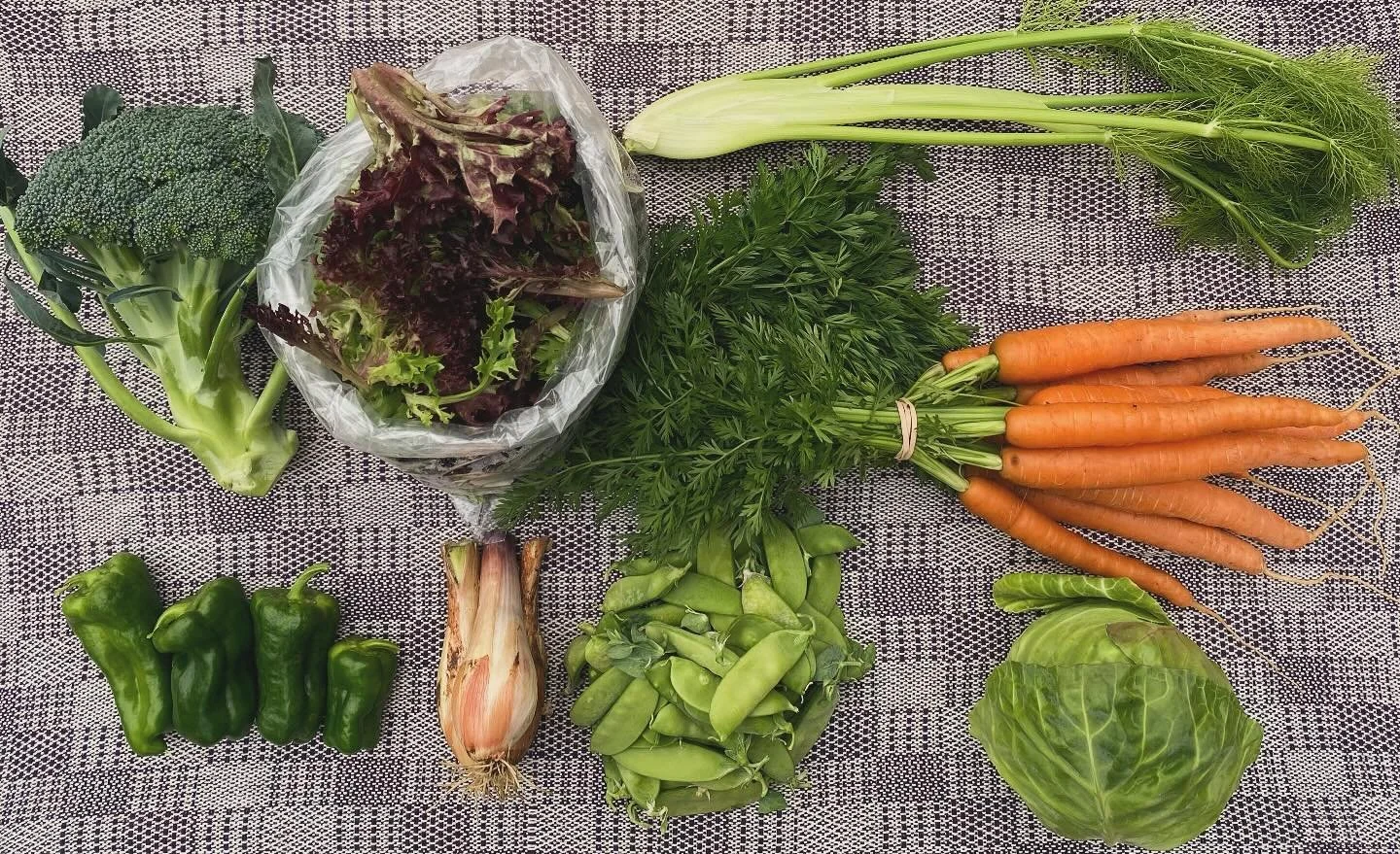 CSA 2025 Week 10 - Broccoli, peppers, salad mix, shallots, fennel, carrots, snow peas and cabbage. Enjoy!
#smallscalefarming #yukongrown #localfood #yukonfarm #peppers🫑 #harveststories #sunrootfarm
