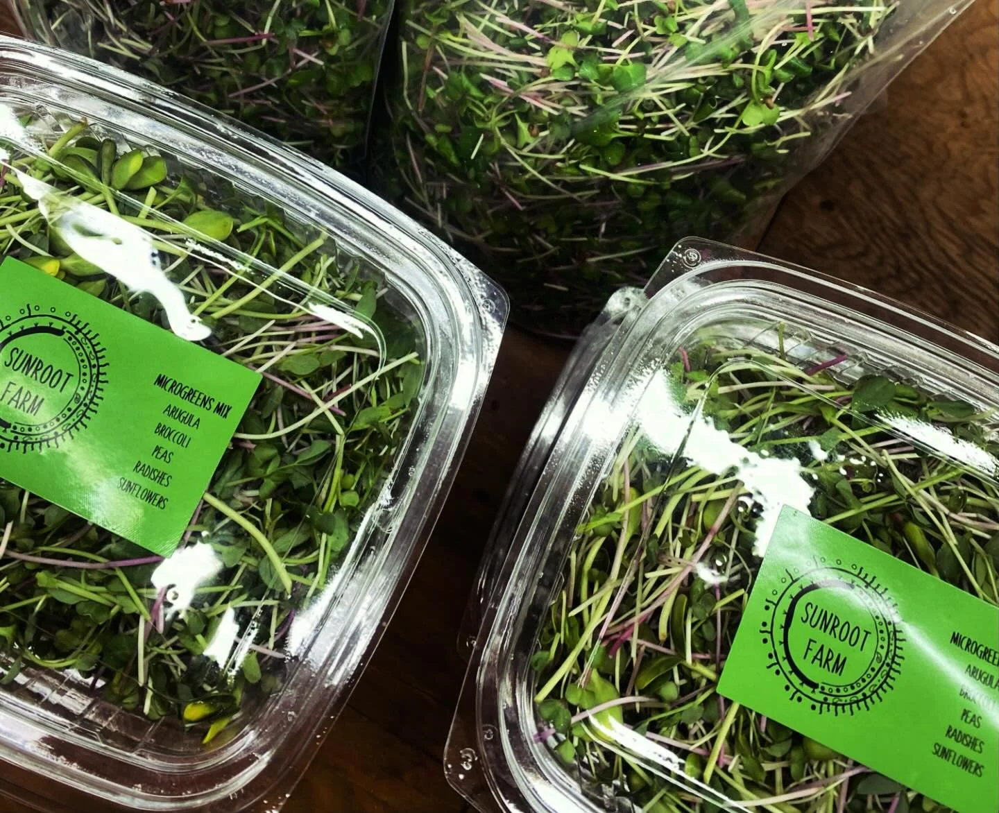 Why buy our microgreens?

✅Harvested fresh - no long distance shipping
✅Bright flavour
✅Grown right here in Yukon
✅Supporting multiple businesses, Sunroot Farm, Riverside Grocery and their caf&eacute;

Head over to @riverside_grocery to get our micro