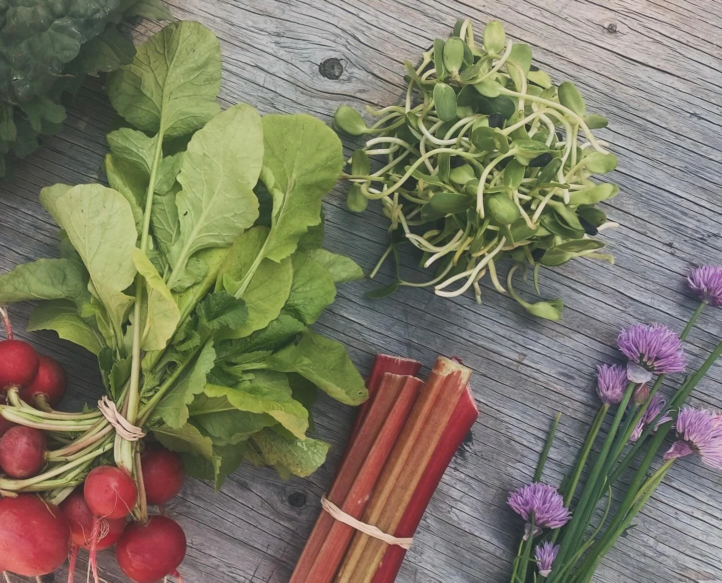 Our CSA subscriptions kick off end of June. The early seson deliveries include our fresh, vibrant microgreens&mdash; tiny bites of nutrition and flavor straight from our farm to your table!💚

Subscriptions are open, so reserve your spot now to enjoy