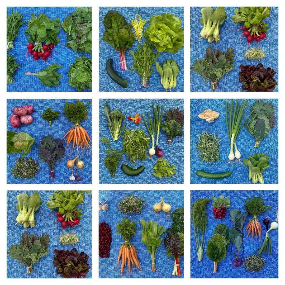 Untitled Project.jpg