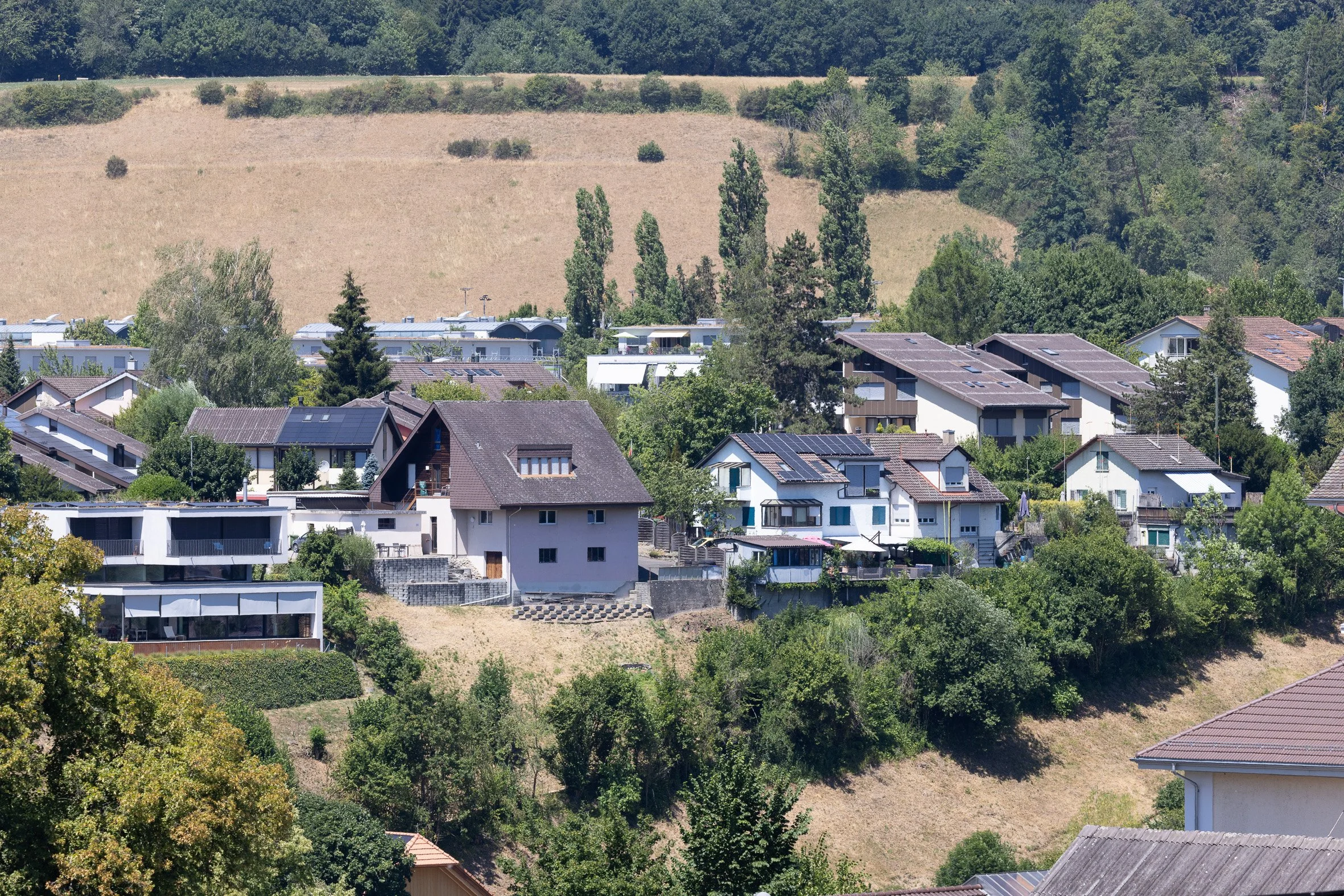 CR5_3506.jpg
