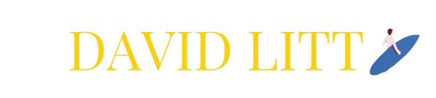 David Litt - New York Times Bestselling Author