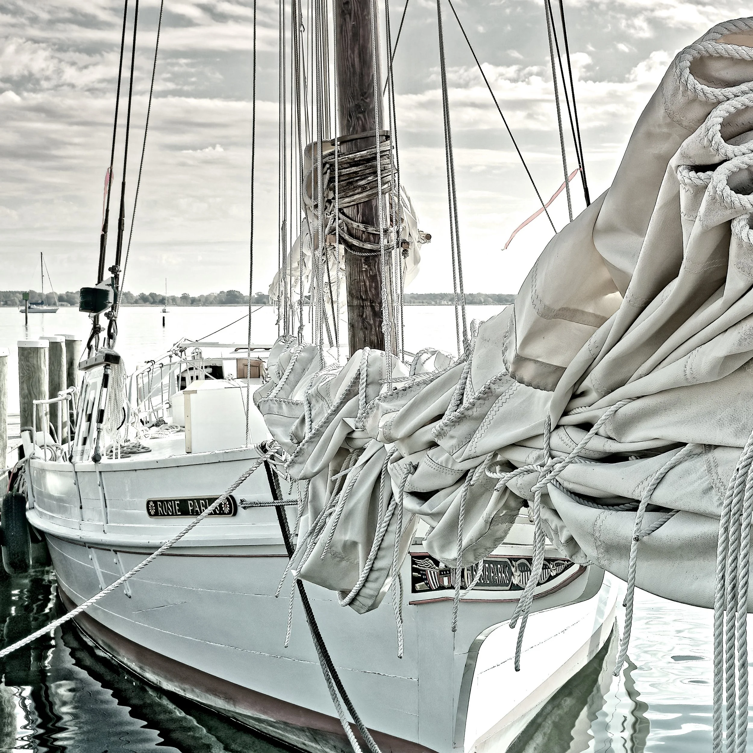 DockshareSocial05252020_1 copy.jpg