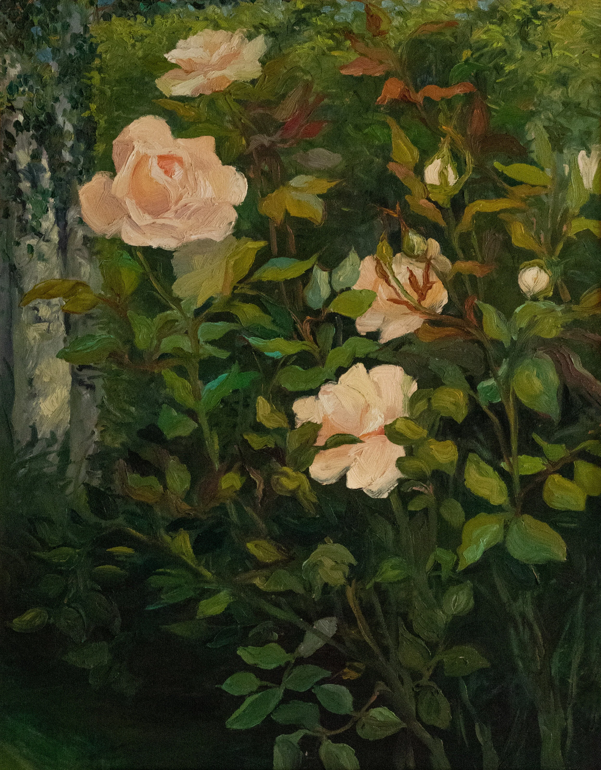 “Rose and Birch”  oil on canvas  28” x 22”