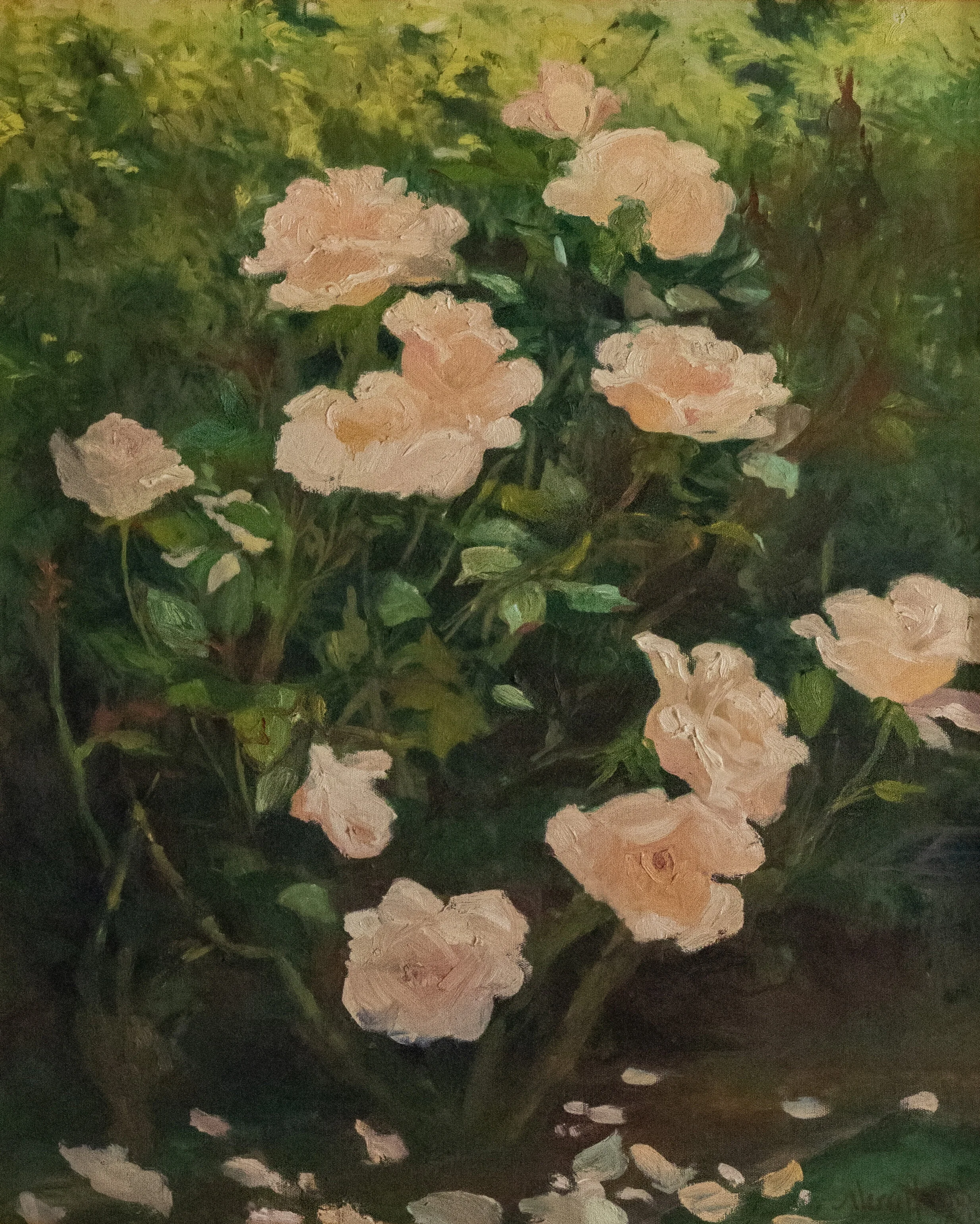 “Morning Rose”  oil on canvas 28” x 22”