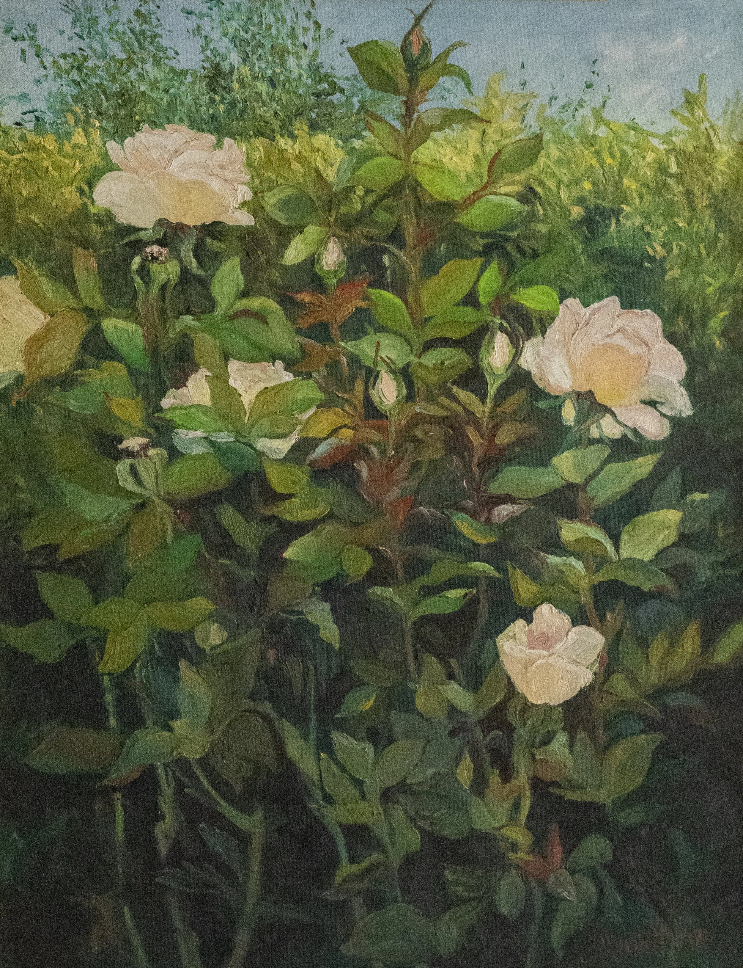 “Touch the Sky”  oil on canvas  28” x 22”