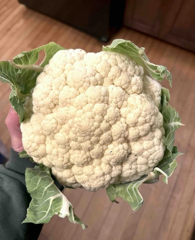 135 ~ The Constant Garden