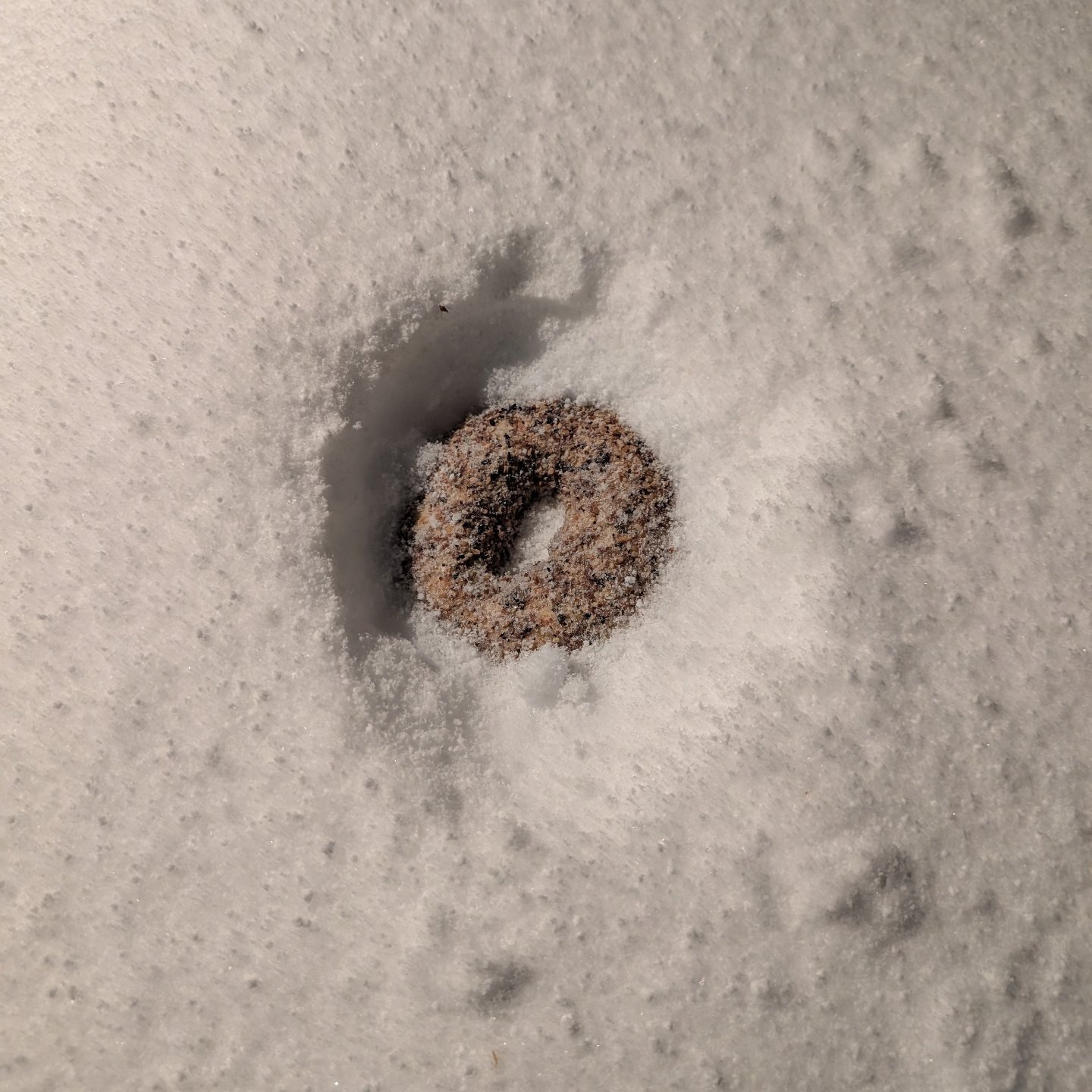 We're sorry to announce that both locations will be closed tomorrow, 12/1, due to the ongoing travel ban and severe winter weather. As we start our day at 3:30 AM to make fresh bagels for both locations, we simply can't guarantee the safety of our te