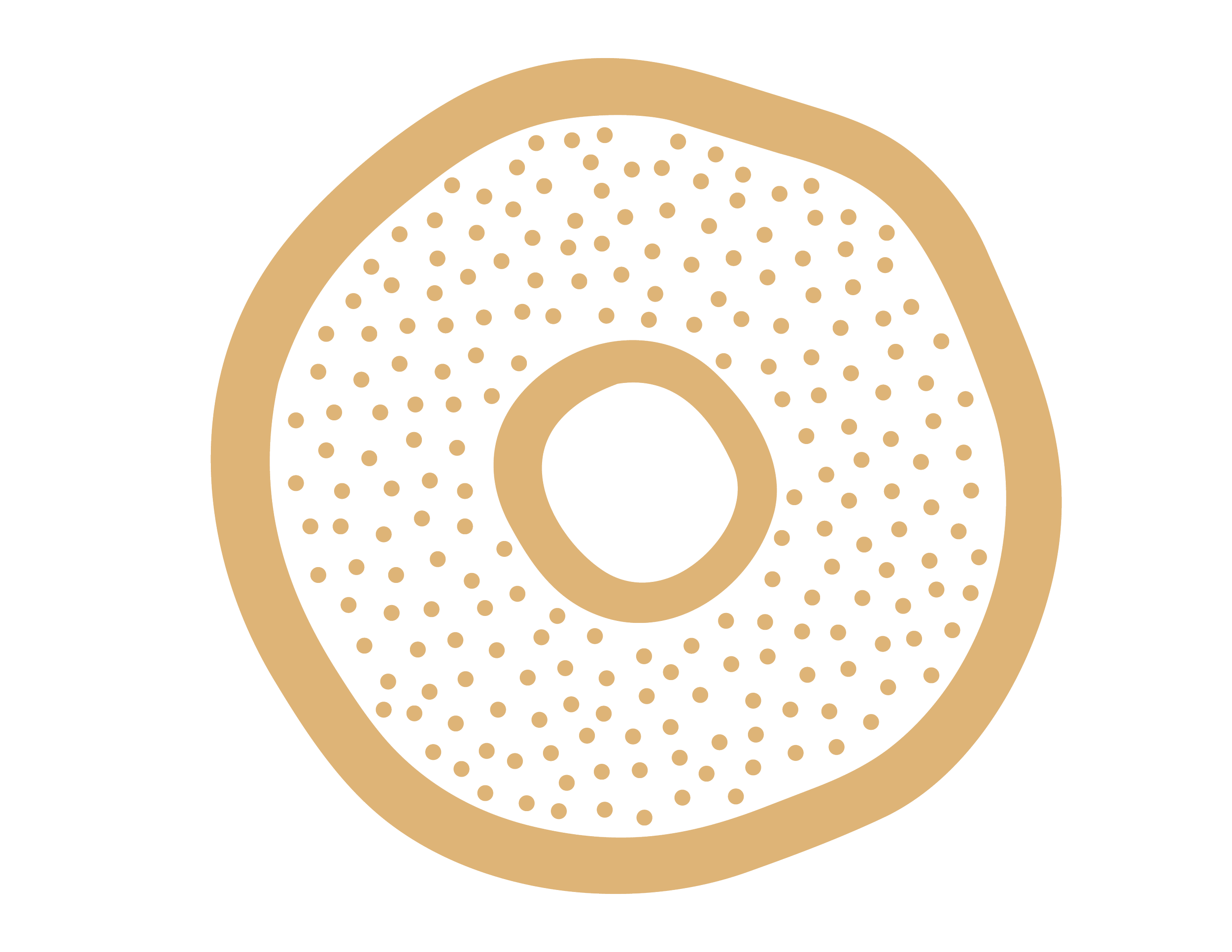 A poppyseed bagel graphic