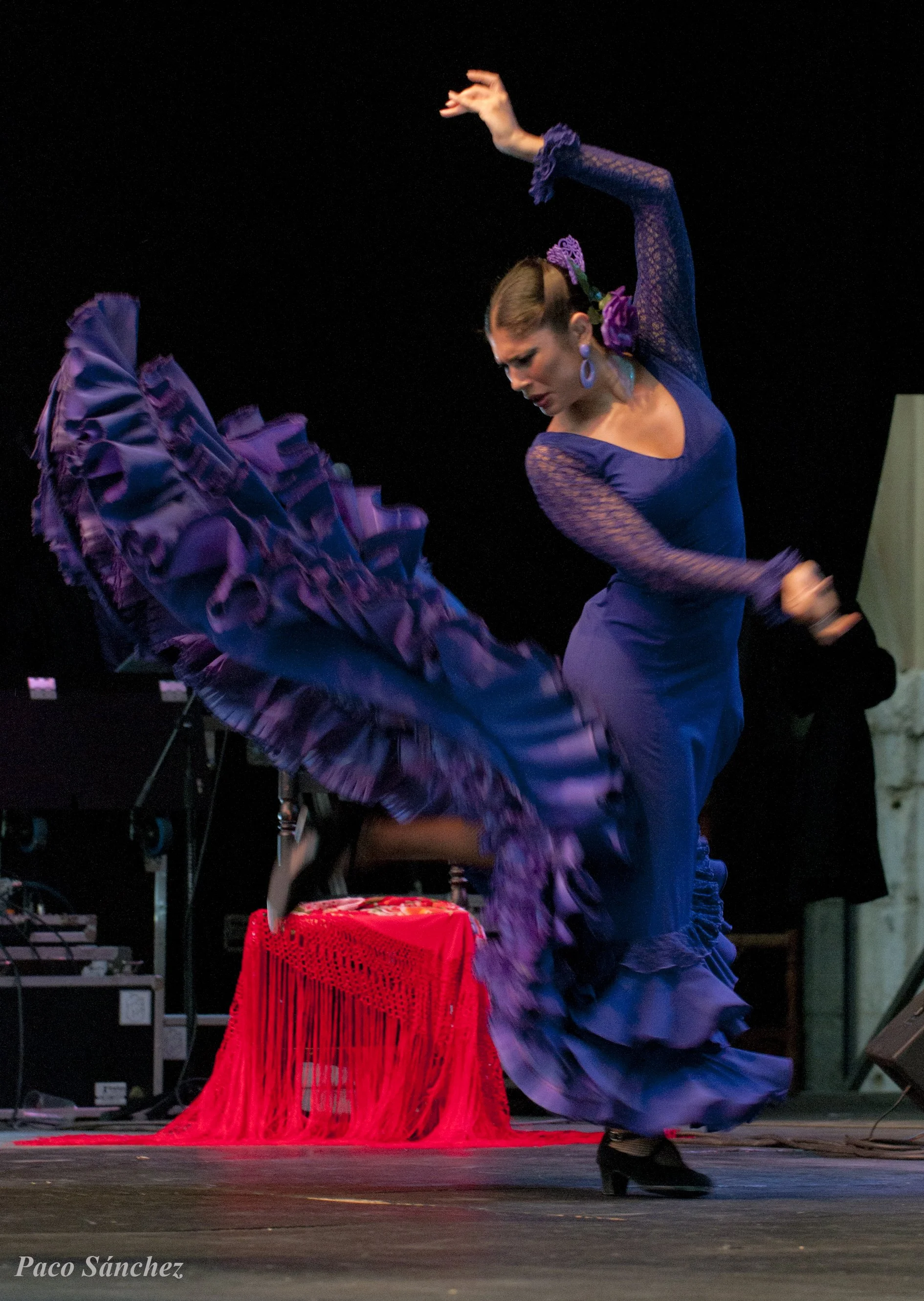 Forever Flamenco by Lakshmi Basile