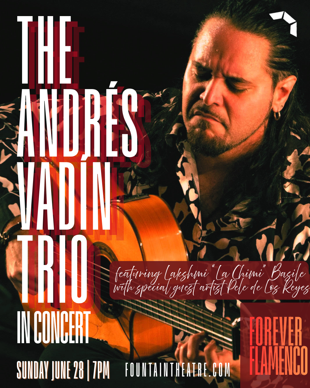 Forever Flamenco : The Andrés Vadín Trio