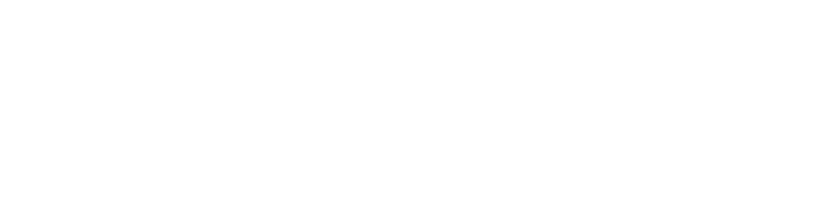 Allmyit Logo-02.png