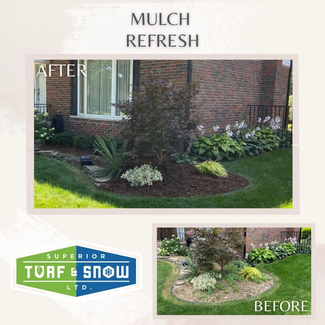 Superior Turf and Snow - Landscaping - New mulch in garden