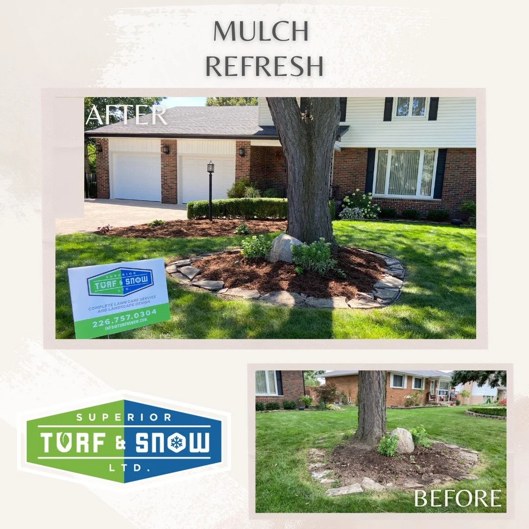 Superior Turf and Snow - Landscaping - New mulch in garden
