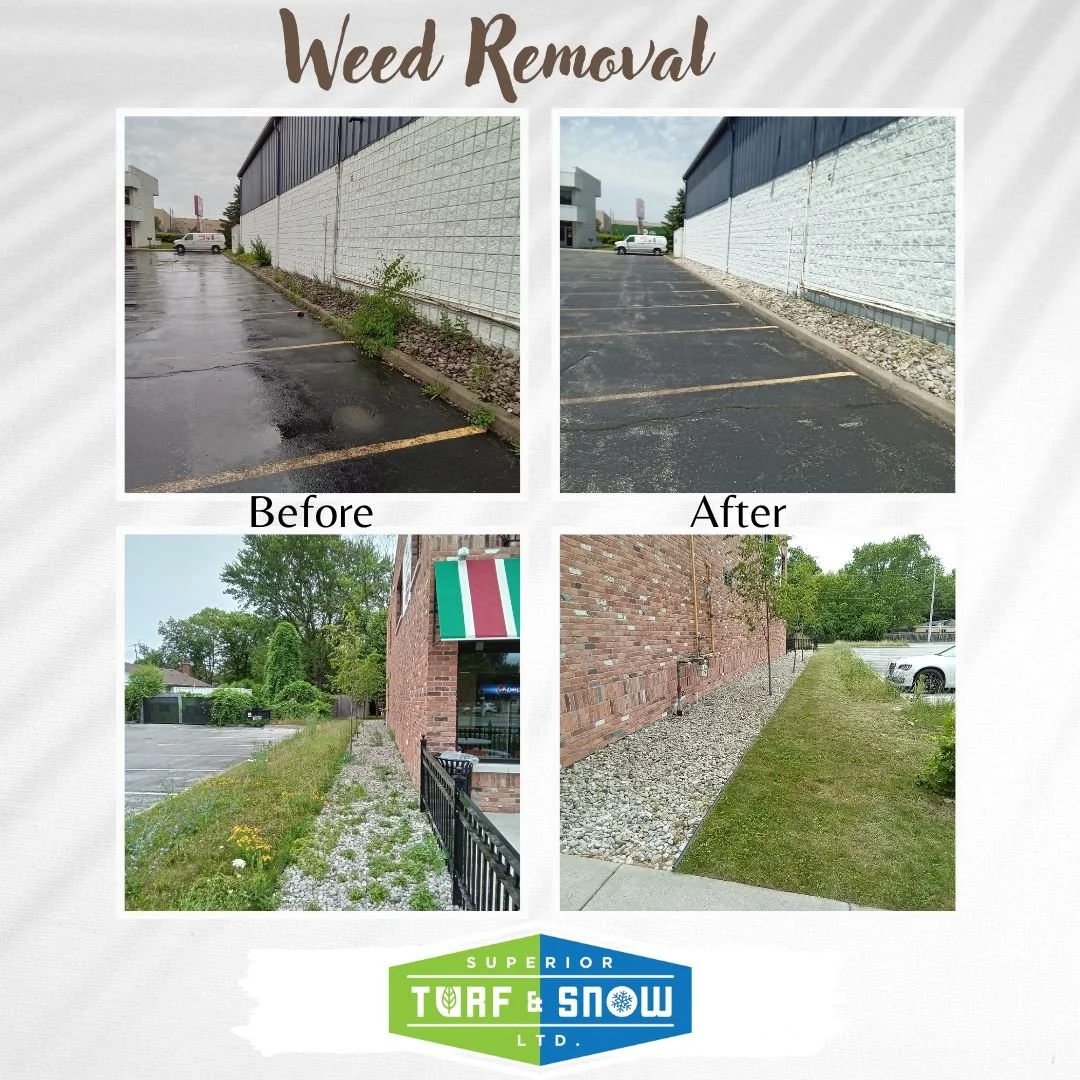 Superior Turf and Snow - Landscaping - Weed removal