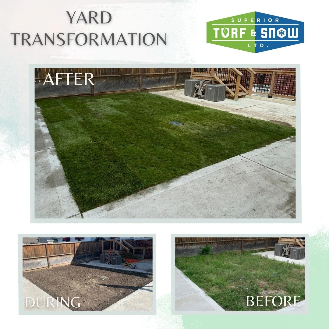 Superior Turf and Snow - Landscaping - Sod in yard