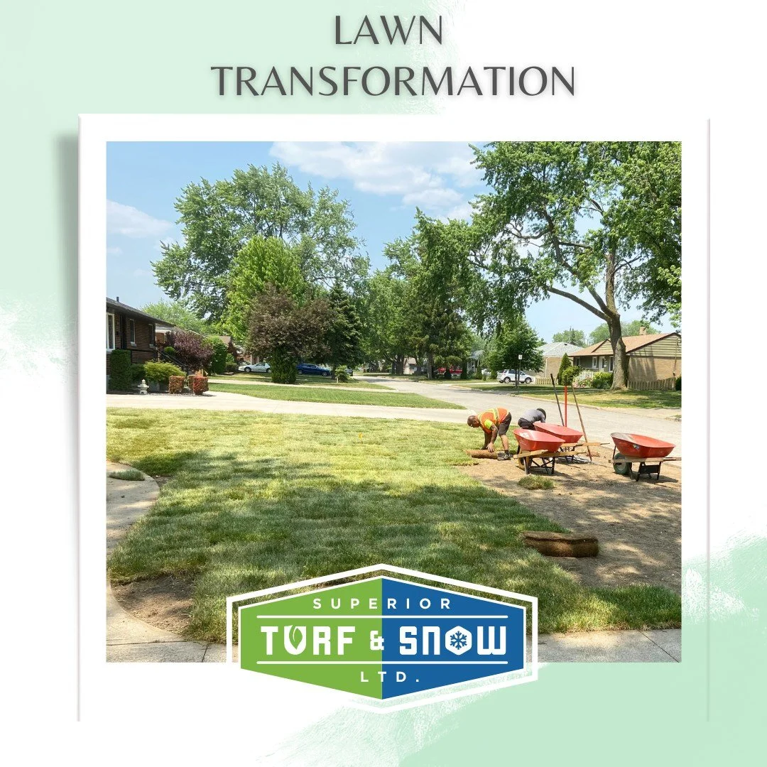 Superior Turf and Snow - New sod on lawn