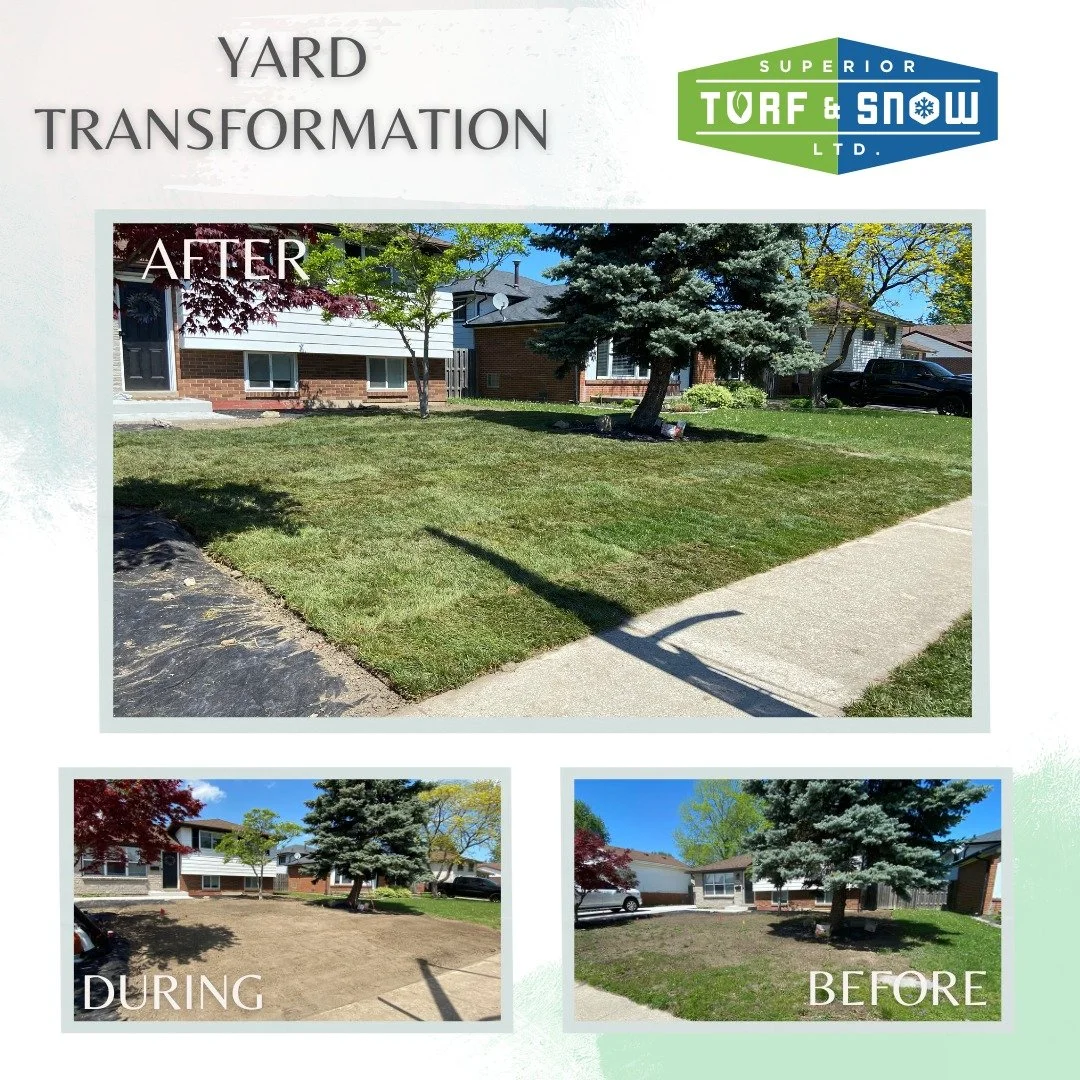 Superior Turf and Snow - Landscaping - Sod in yard
