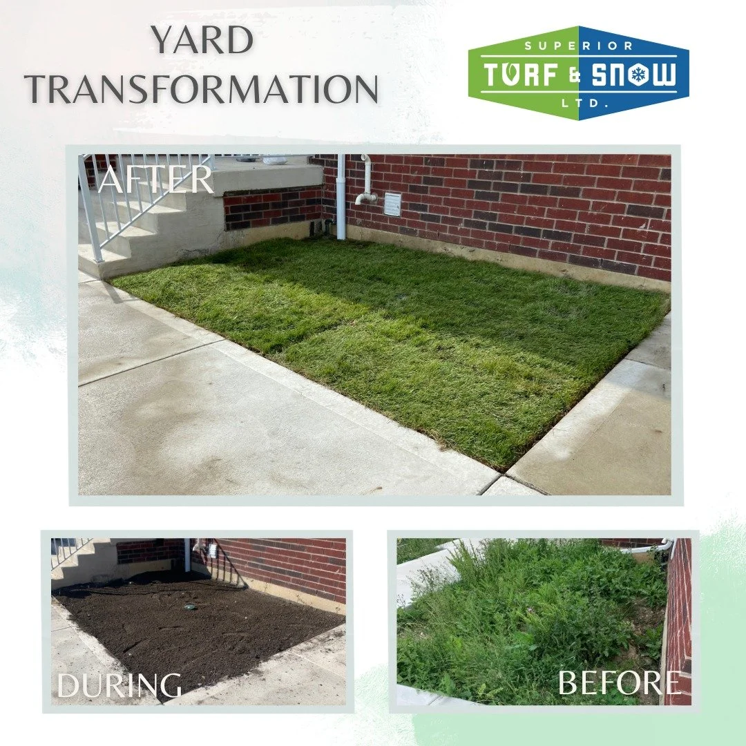 Superior Turf and Snow - Landscaping - Sod in yard