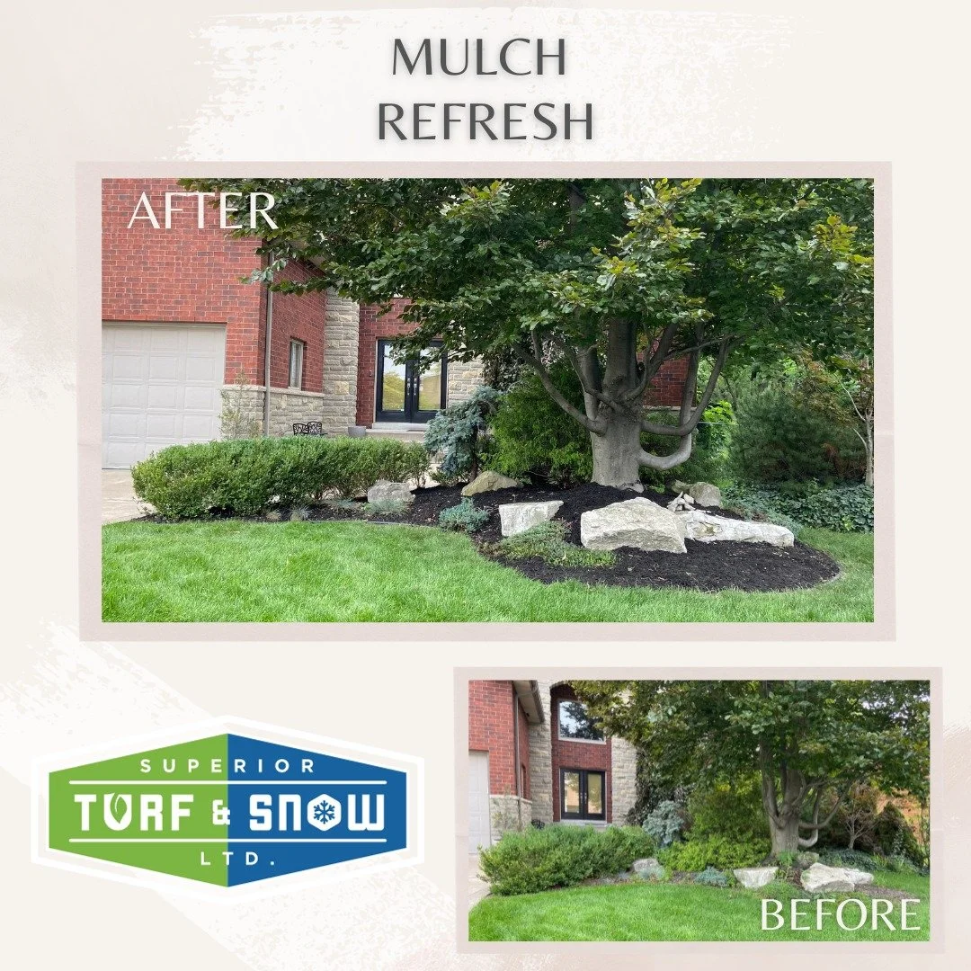 Superior Turf and Snow - Landscaping - New mulch in garden