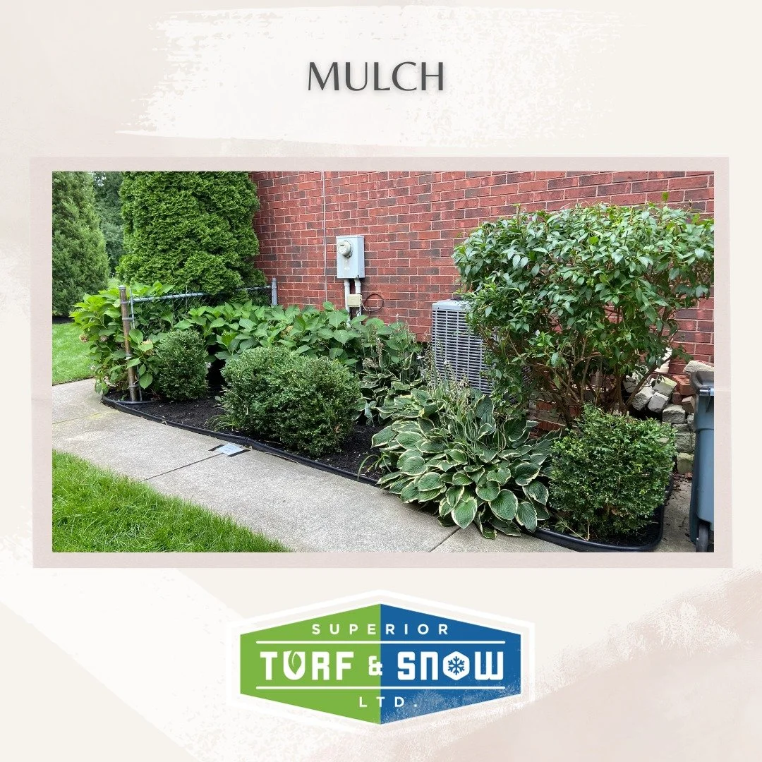 Superior Turf and Snow - Landscaping - New mulch in garden