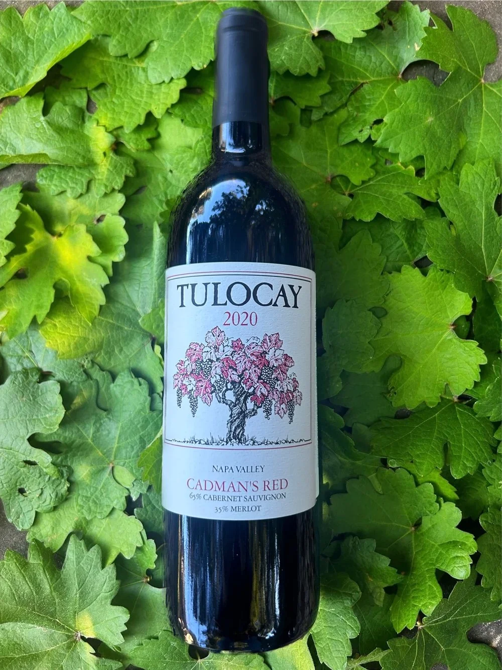 2020 Napa Valley Cadman's Red Blend