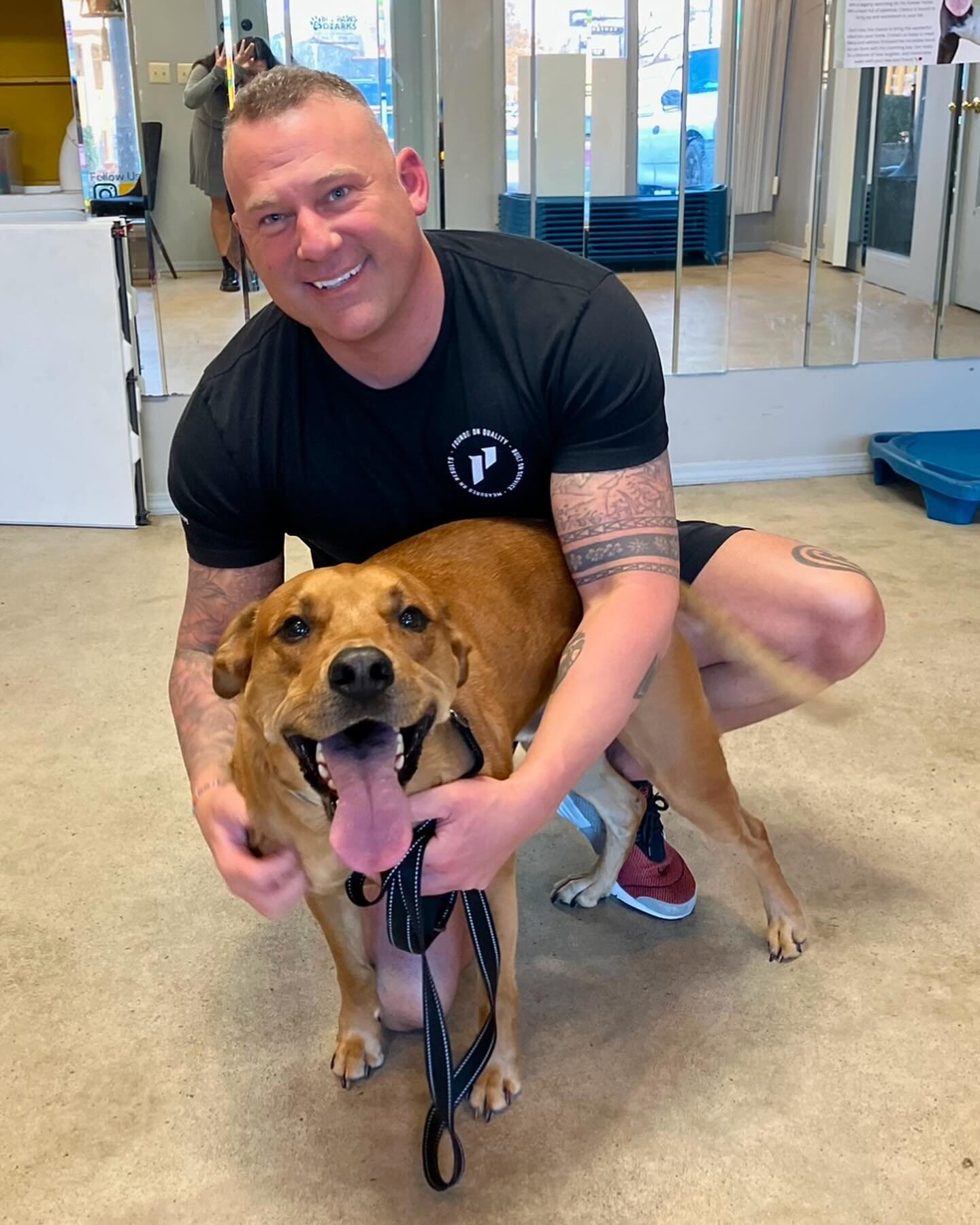 Embrace the Unconditional Love of Adoption! 

Meet Viper. This is the second time Viper has been rescued. When he was young he was shot in the face with a bow and arrow. (You can see the Xray) He was found in the woods with the arrow still in his sku