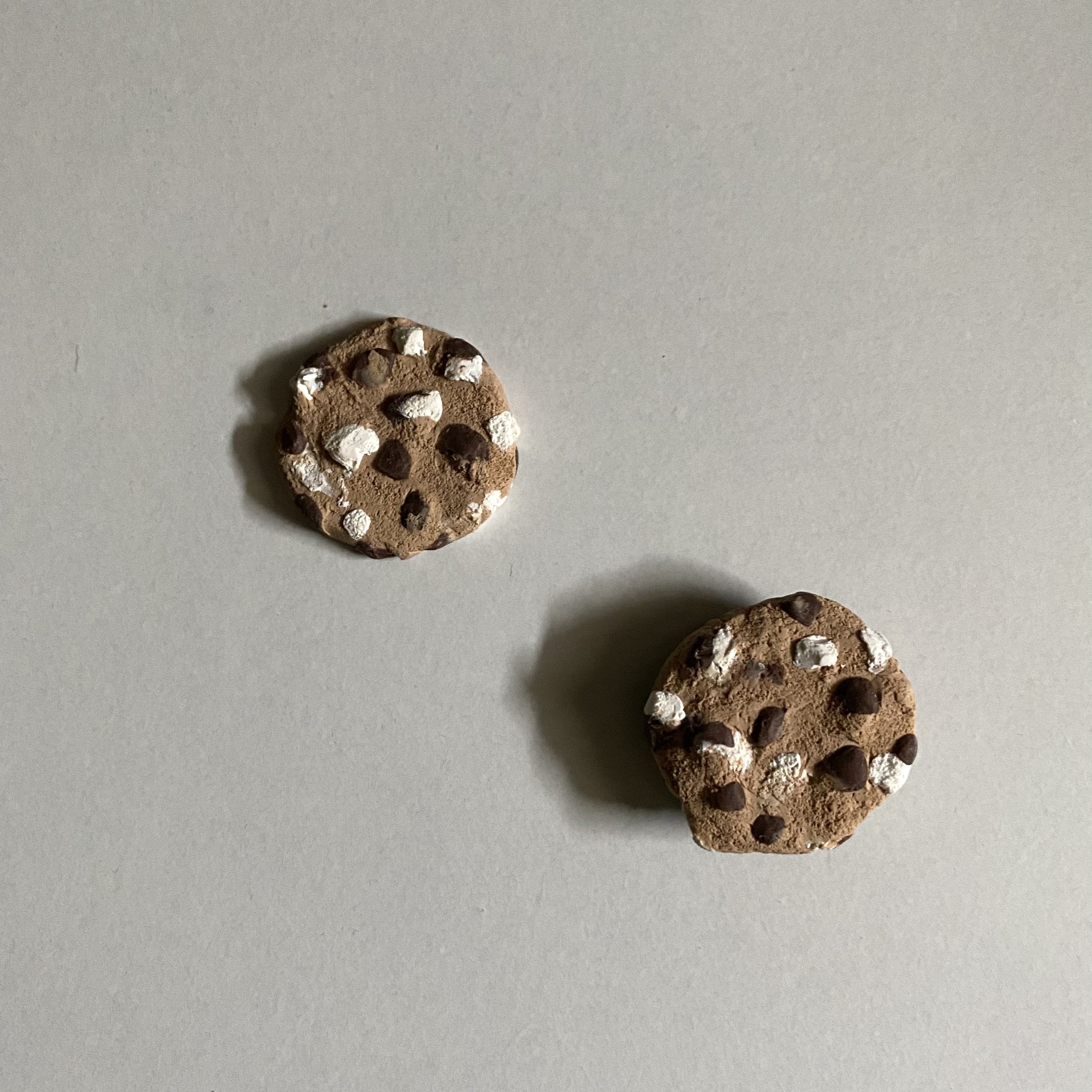S’mores cookie Magnets