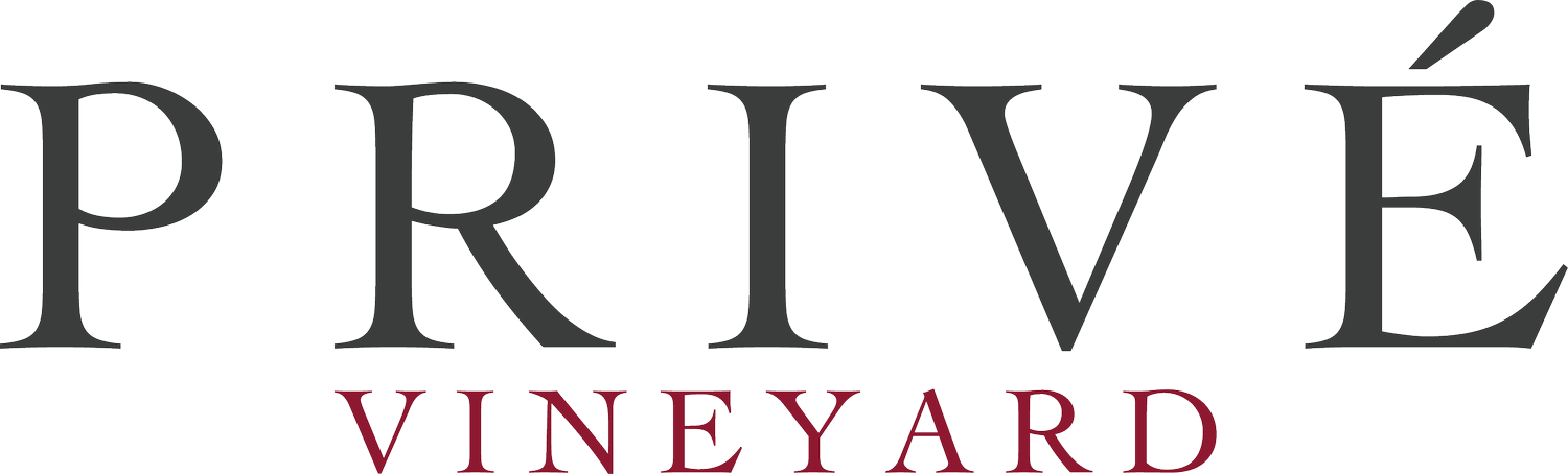 Privé Vineyard