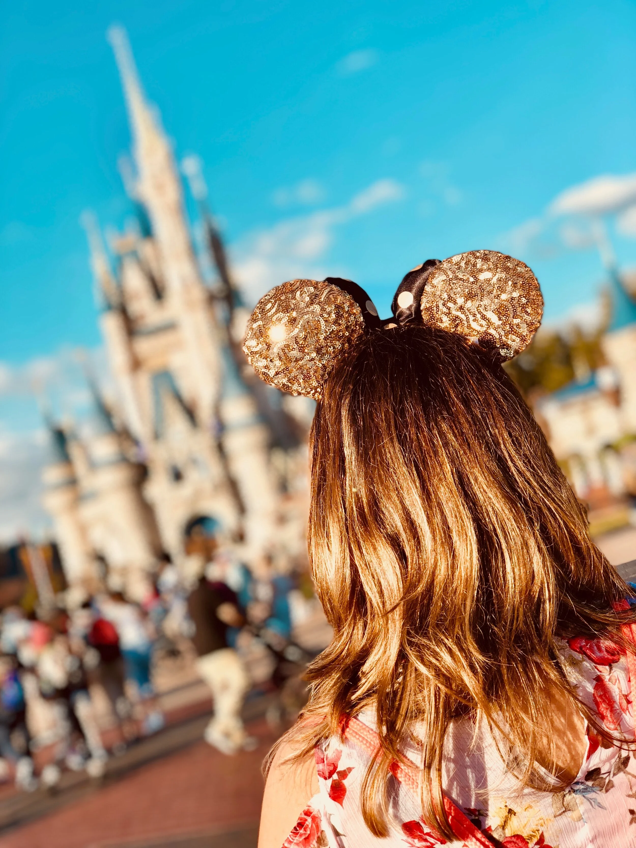 Technoference in Disney World:  Mindful Parenting Reflections from a Flying Elephant