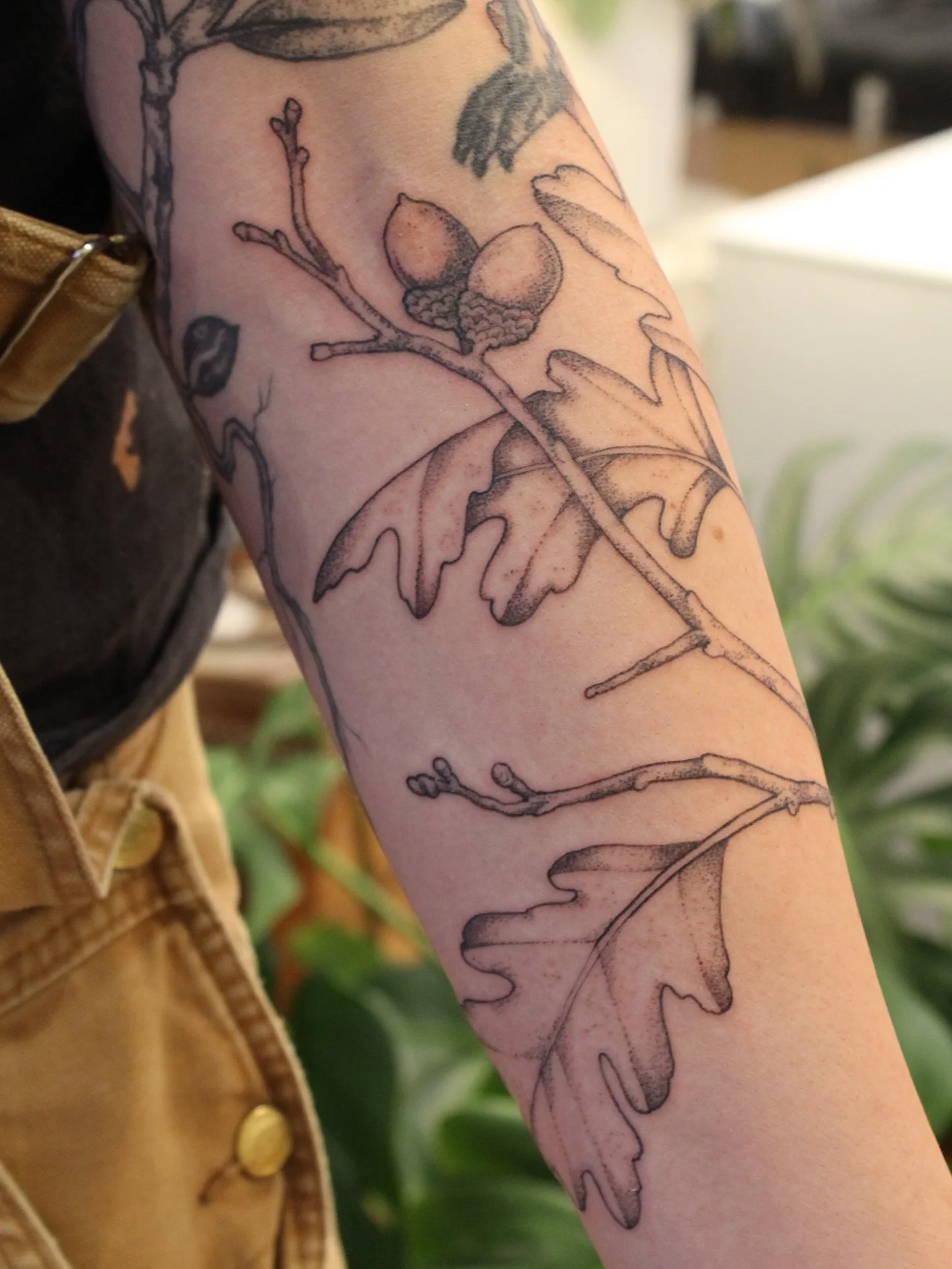 Added some freehand branches to this sprouted oak - the first section was made in 2021 I think? swipe to see it many years healed up. Patrick thank you so much for driving FOREVER to see me (again??) and chatting for so long about survivor lol. What 