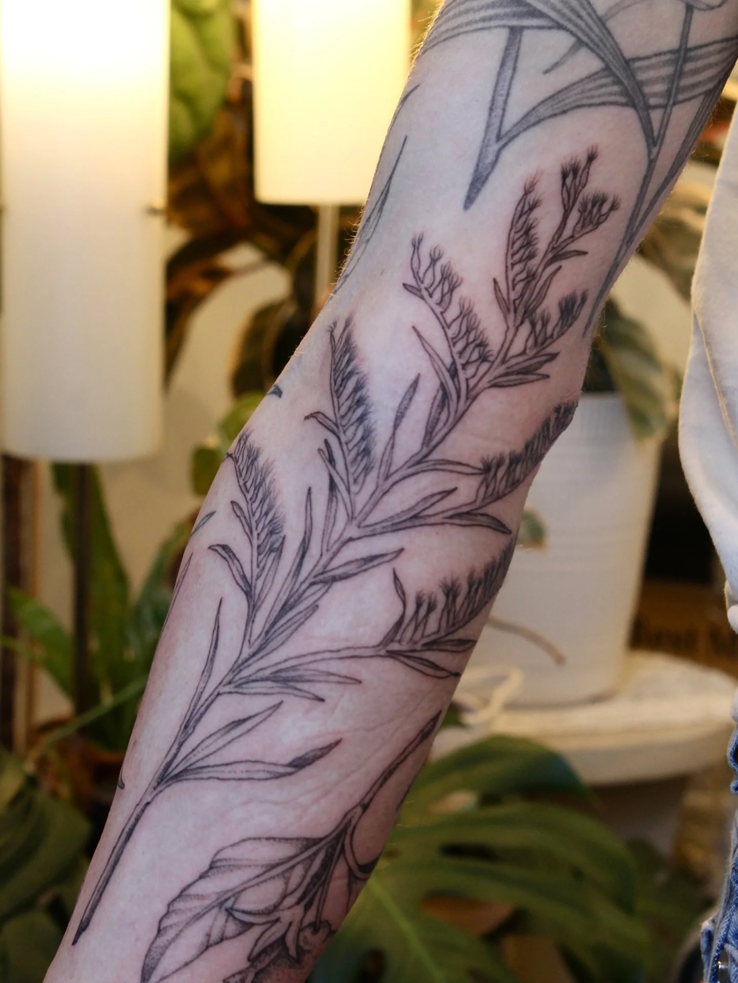 Freehand goldenrod to fill out a botanical sleeve, thanks for coming all the way from Boston Randee! 

#finelinetattoo #botanicaltattoo #hudsonvalleytattoo #freehandtattoo #floraltattoo