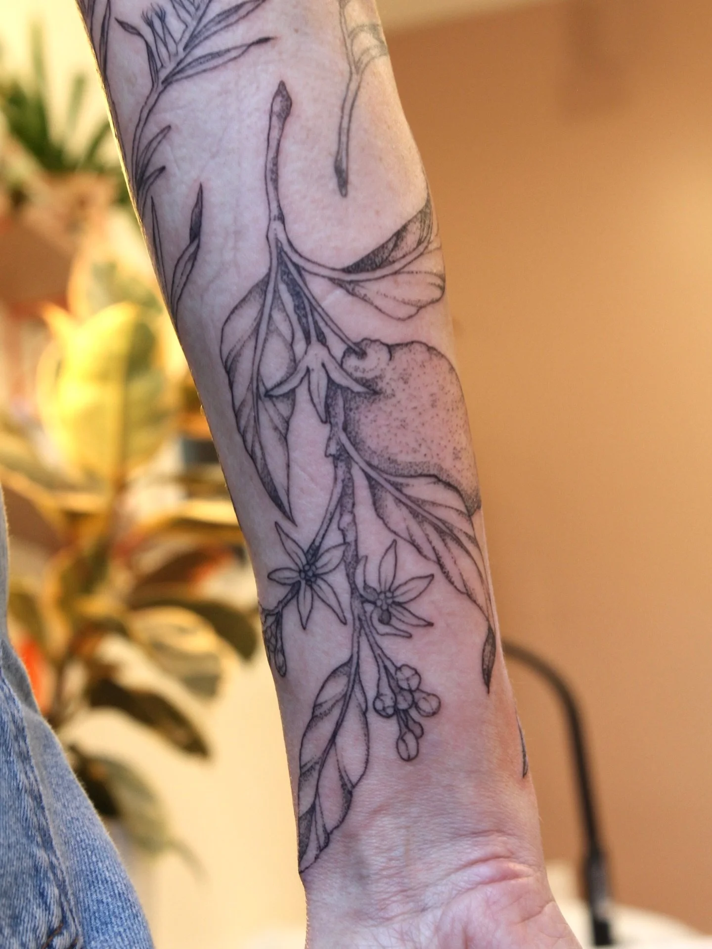 Freehand lemon blossom gap filler to finish out the bottom of Rangers floral sleeve- can&rsquo;t wait to show the rest! 

#botanicaltattoo #lemontattoo #botanicalillustration