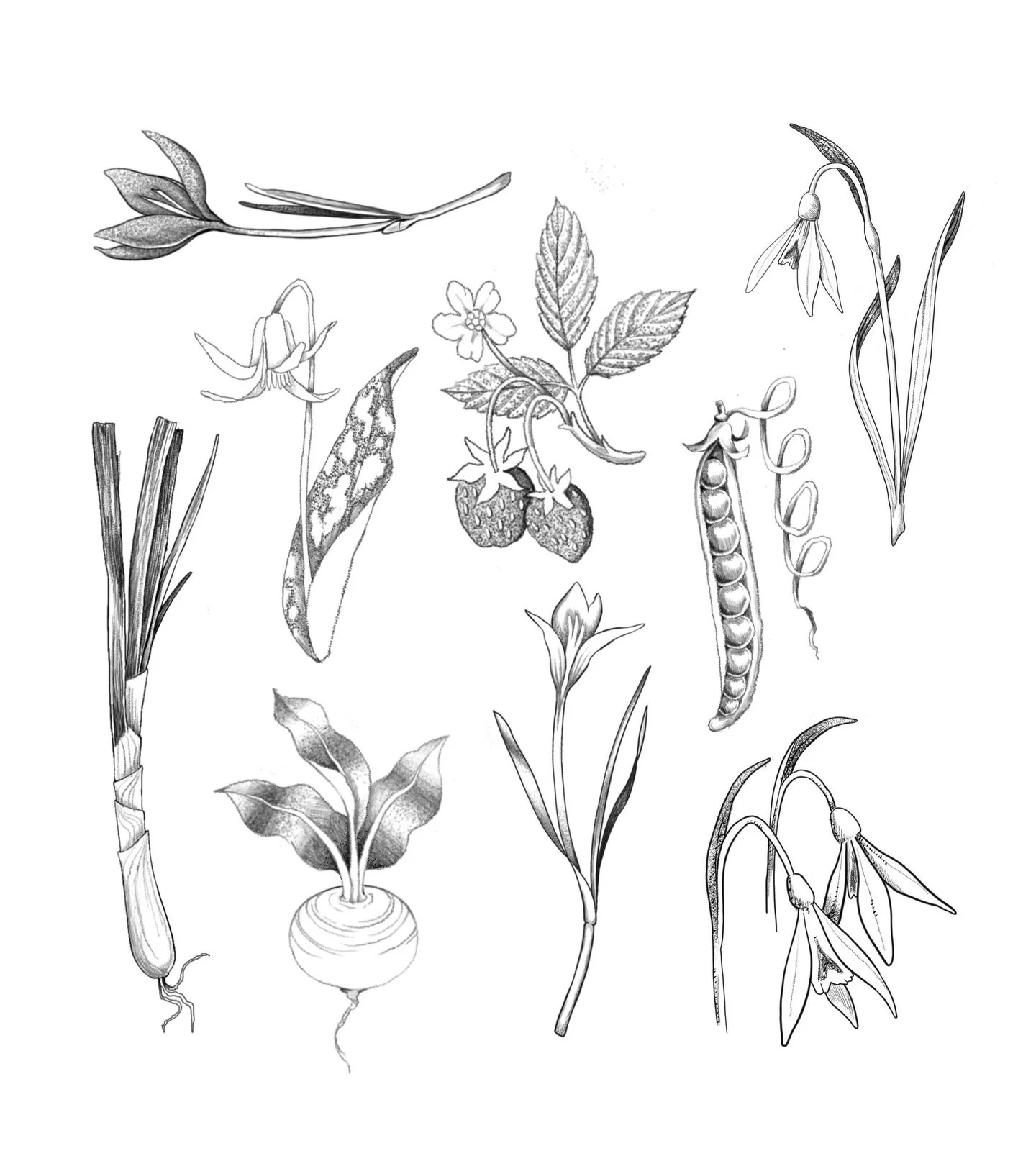 it&rsquo;s a beautiful day! here&rsquo;s some no nonsense springy botanicals but i&rsquo;ll also have a sheet of stupid little bangers. come to @daisychain.tattoo between 12-8 to check it out 🌼🌼🌼