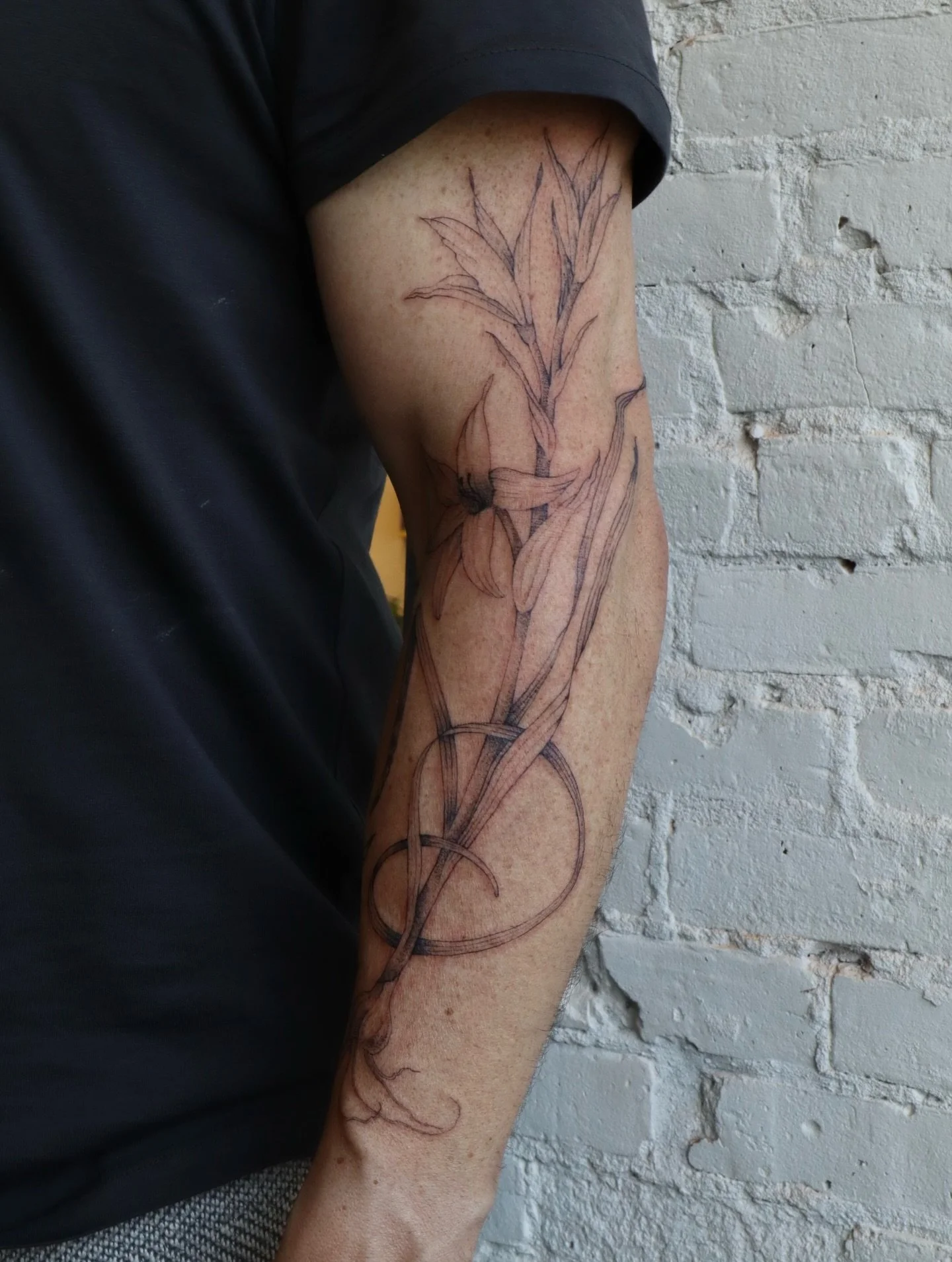 freehand gladiolus-ish bulb, thank you thank you @kevinlraper!!