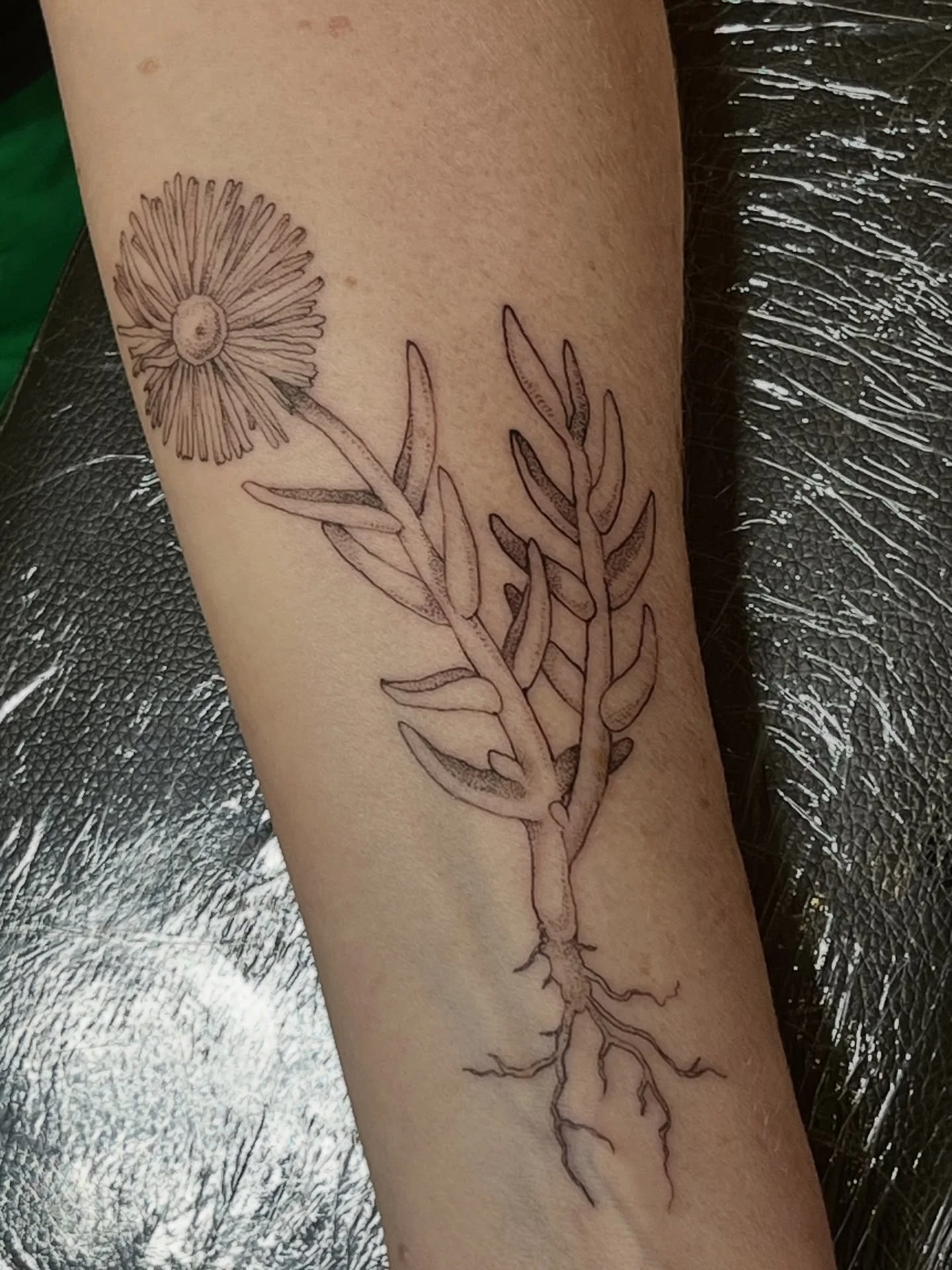 ice plant - freehand - thank you!!
