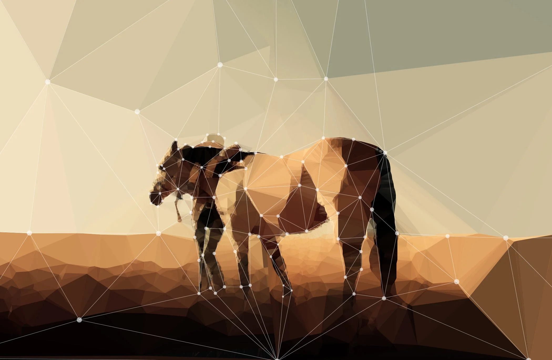 The Stillpoint Experience