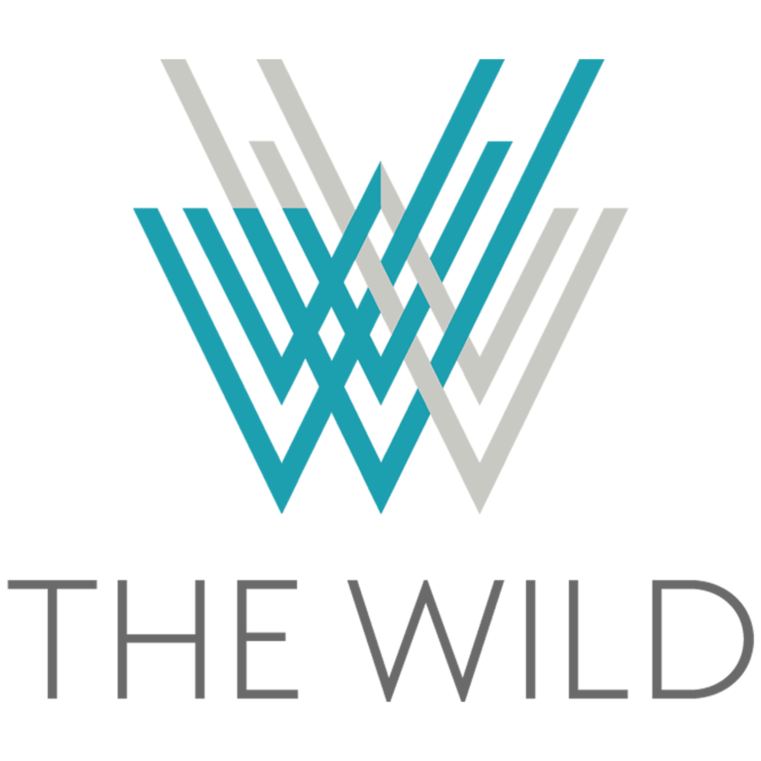 WILD LLC