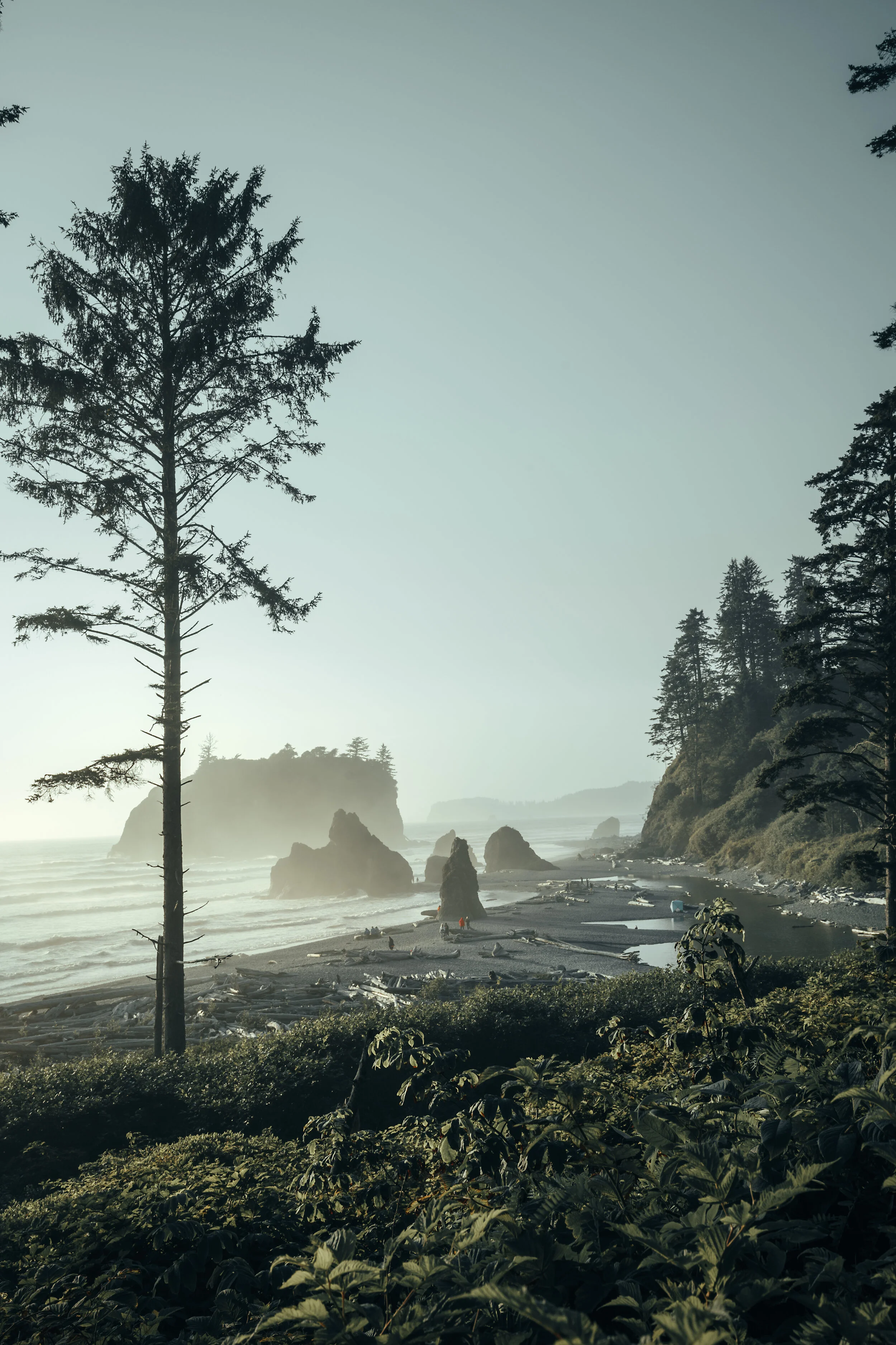 Great Ruby Beach.JPG