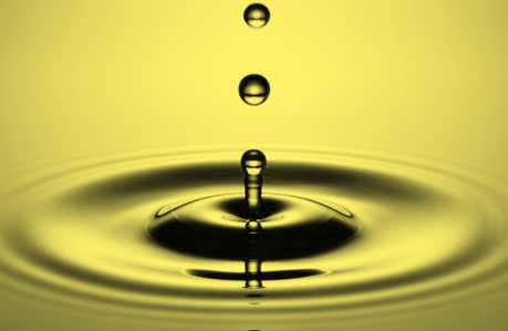 Personality Profile Report Summary