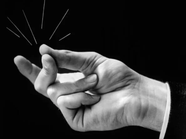 There Are 5 Frogs On A Log ...