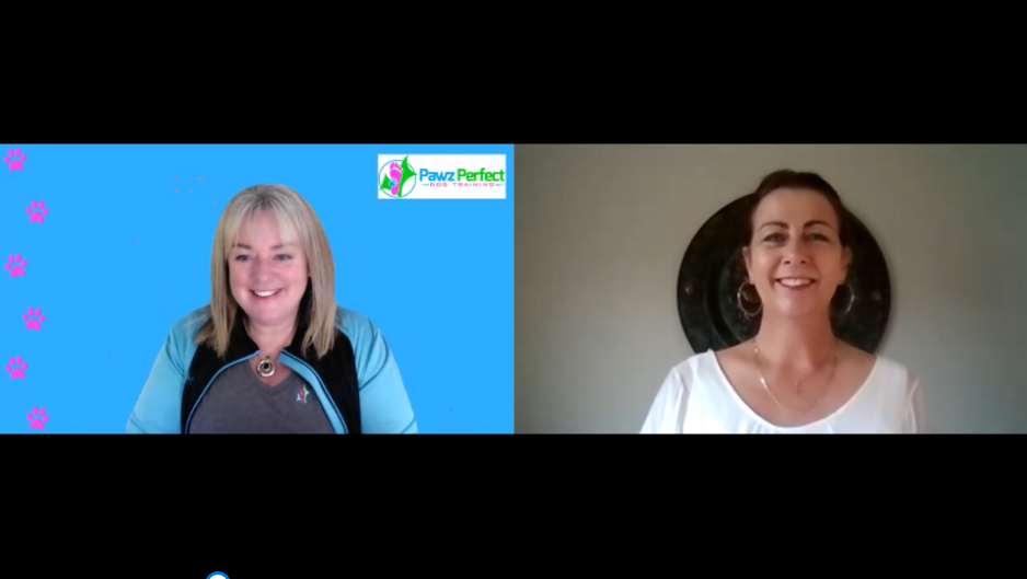 For Dog Lovers &amp; Owners