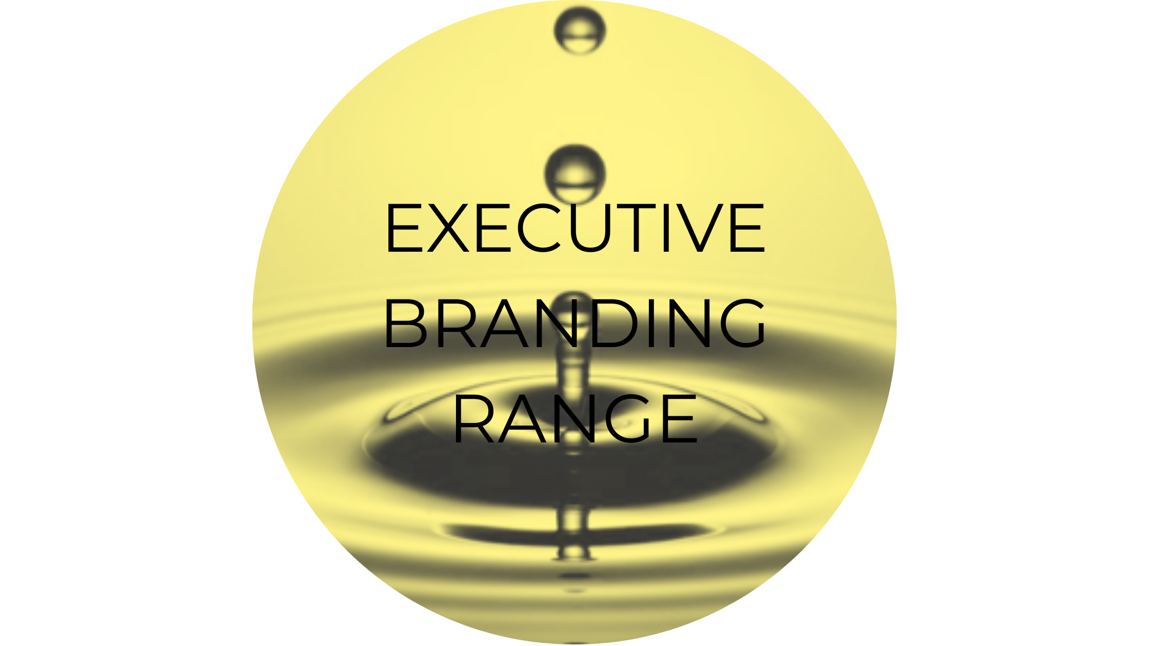EXECUTIVE PACKAGES — Estimated Remuneration $140,000+ per annum