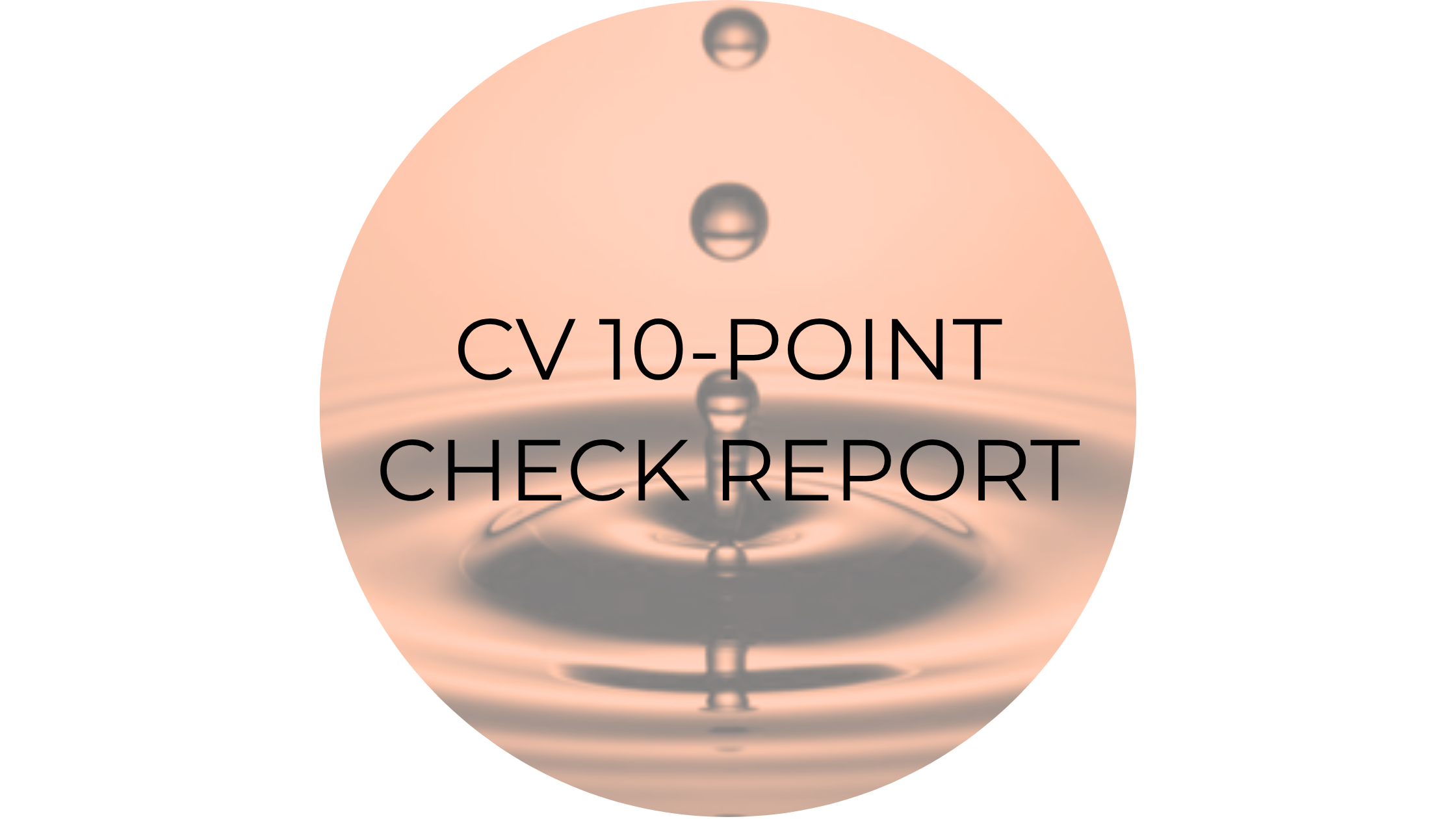 CV 10-POINT CHECK REPORT